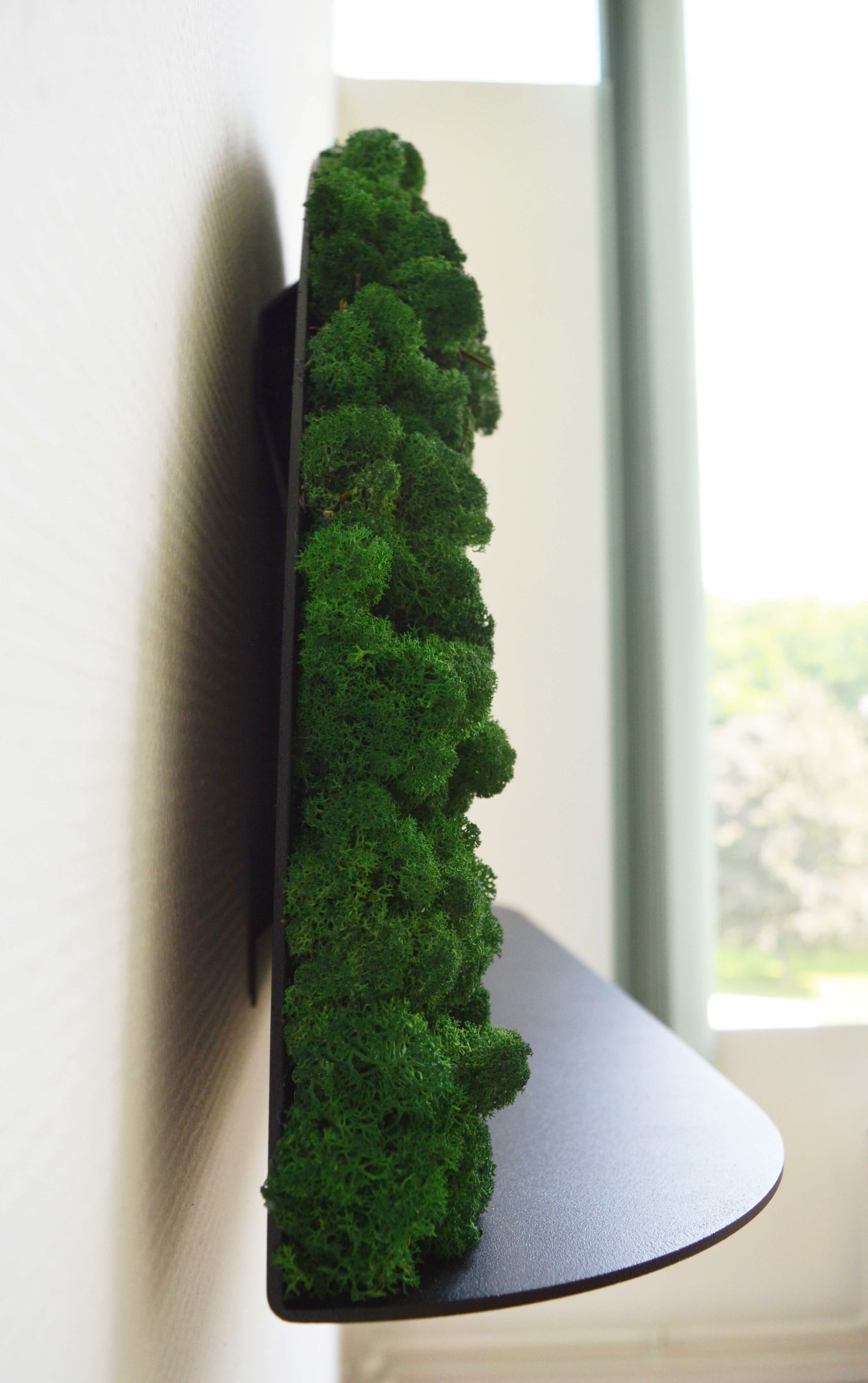 Moony Moss Art & Acoustic Shelf - Image 5