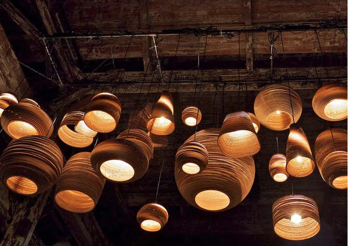 Moraceae Hanging Lights - Image 20