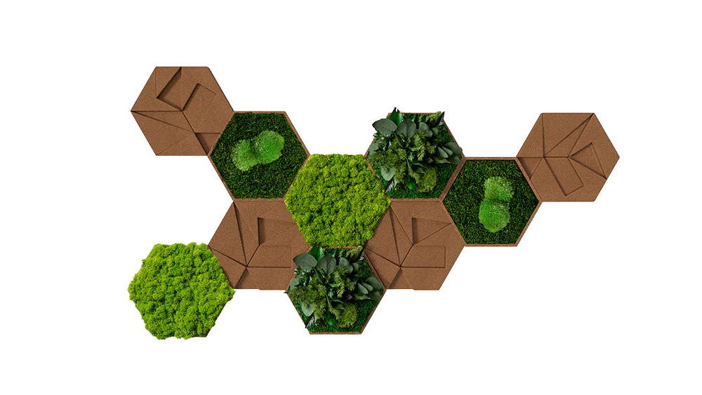 Cork Hexagons Moss Wall Art (Set of 10 Moss Panels)