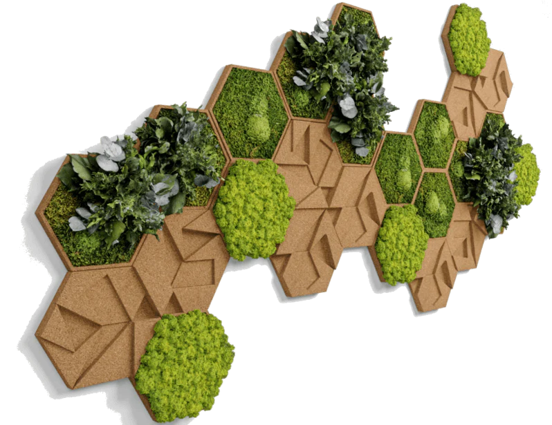 Cork Hexagons Moss Wall Art (Set of 10 Moss Panels) - Image 7