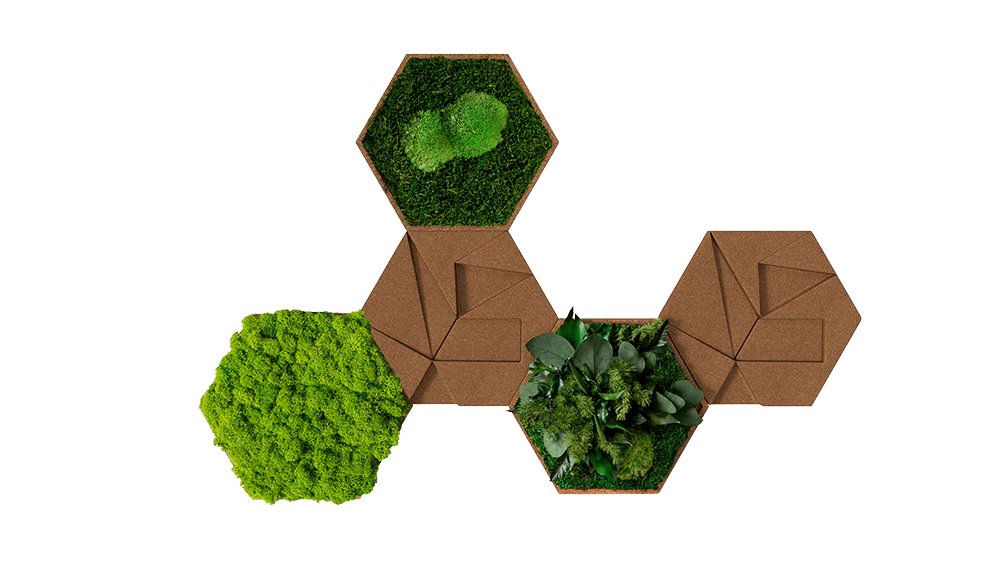 Cork Hexagons Moss Wall Art (Set of 5 Moss Panels)