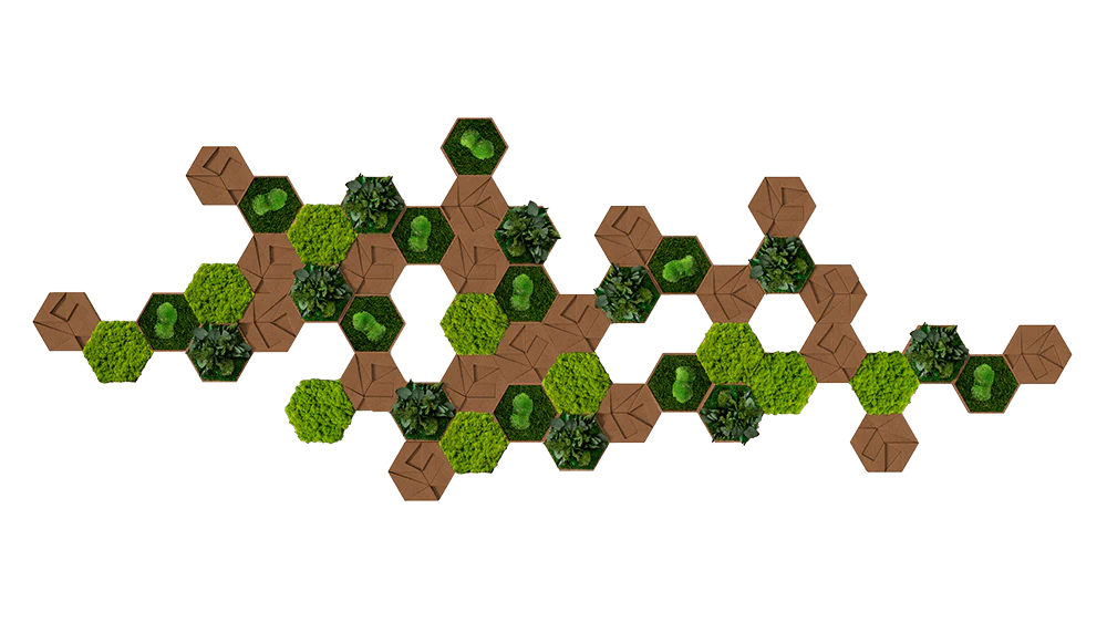Cork Hexagons Moss Wall Art (Set of 50 Moss Panels)