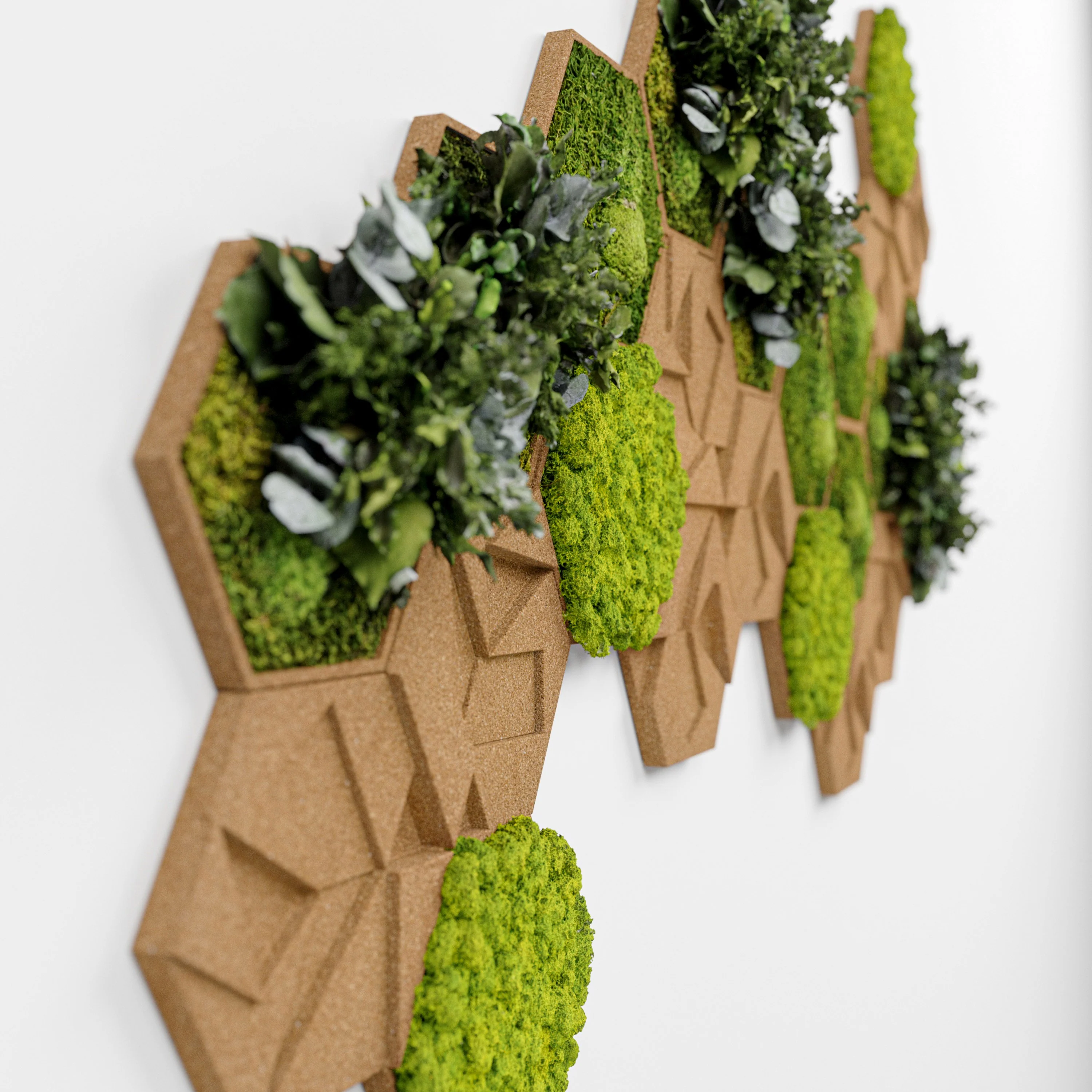 Cork Hexagons Moss Wall Art (Set of 50 Moss Panels) - Image 5