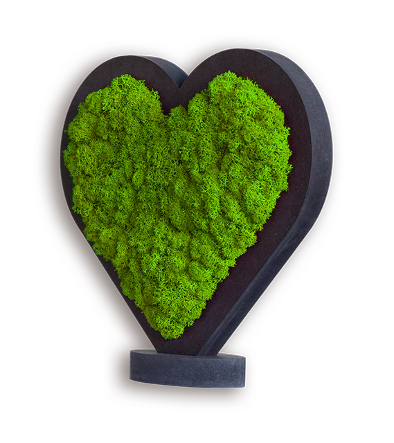 Moss Heart - Image 6