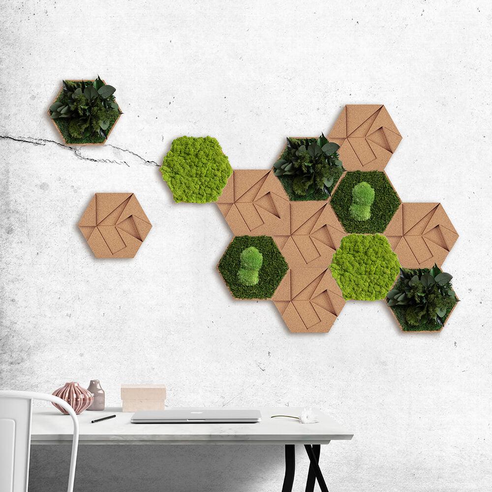 Cork Hexagons Moss Wall Art (Set of 25 Moss Panel) - Image 13
