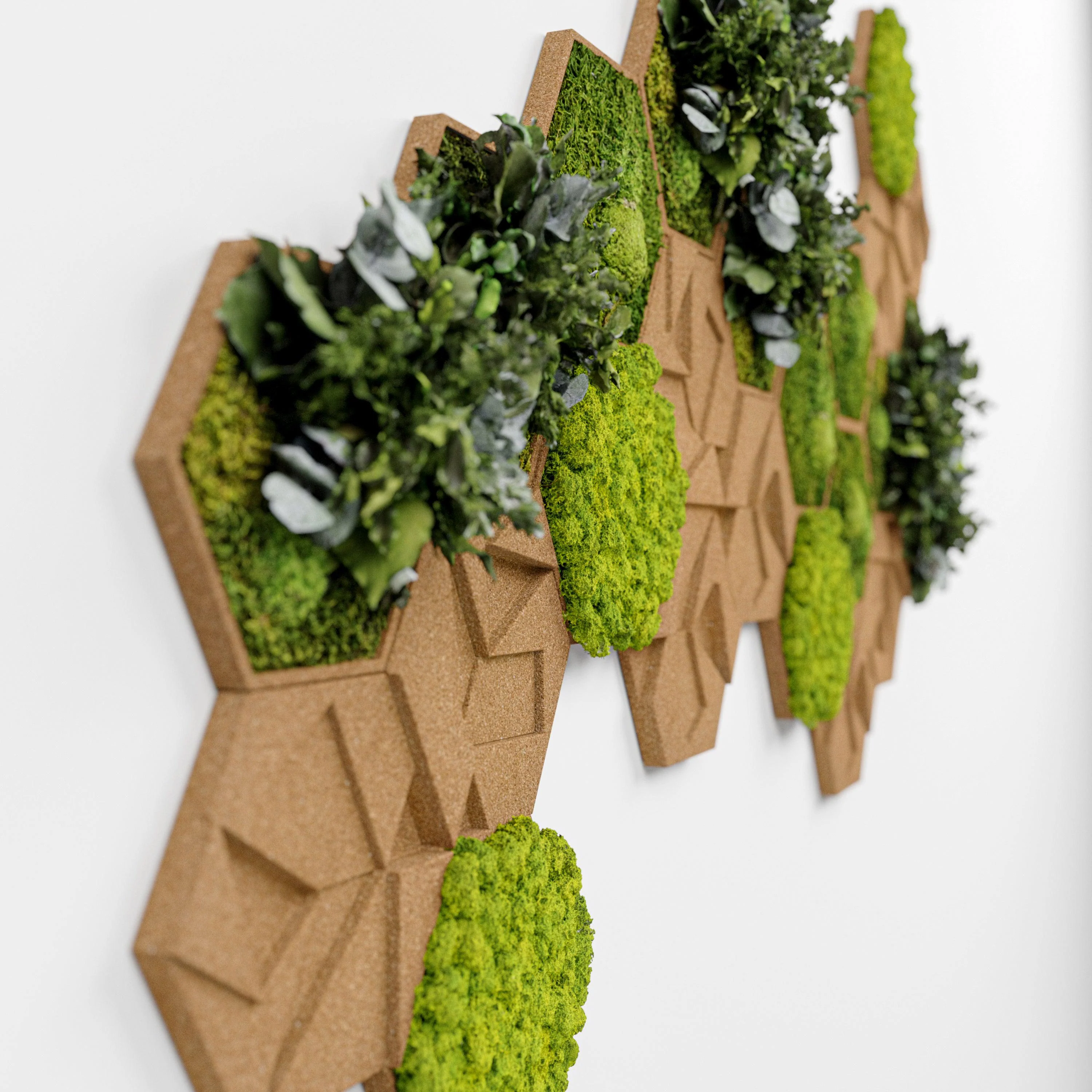 Cork Hexagons Moss Wall Art (Set of 25 Moss Panel) - Image 3