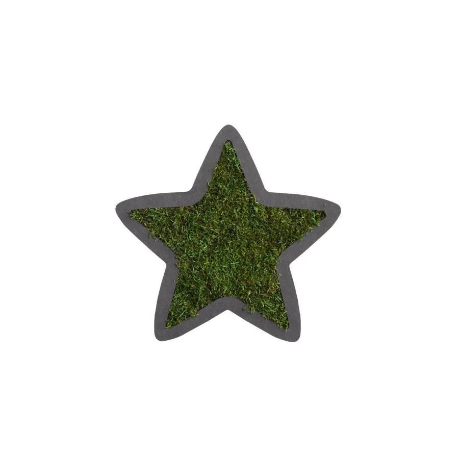 Moss Starlet