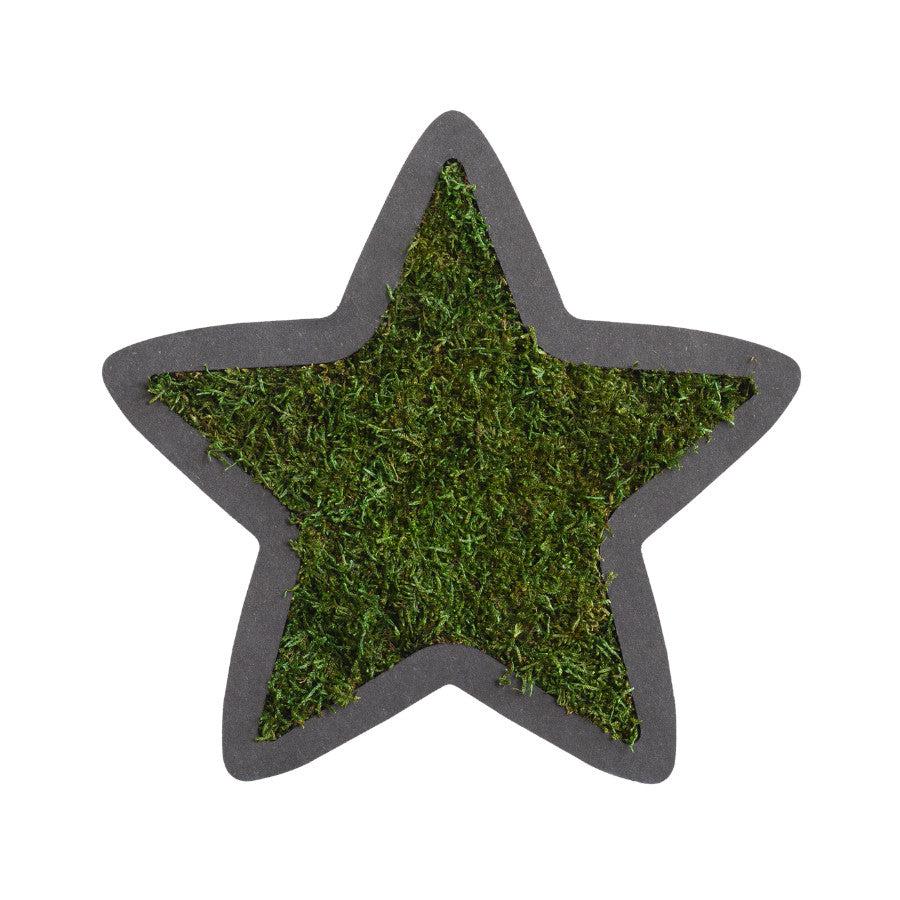 Moss Starlet - Image 3