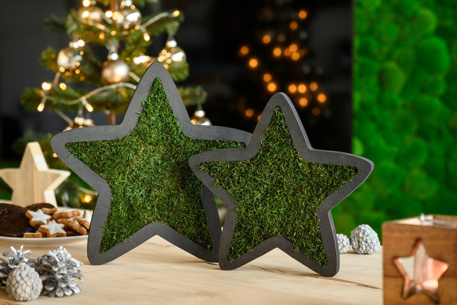 Moss Star - Image 5