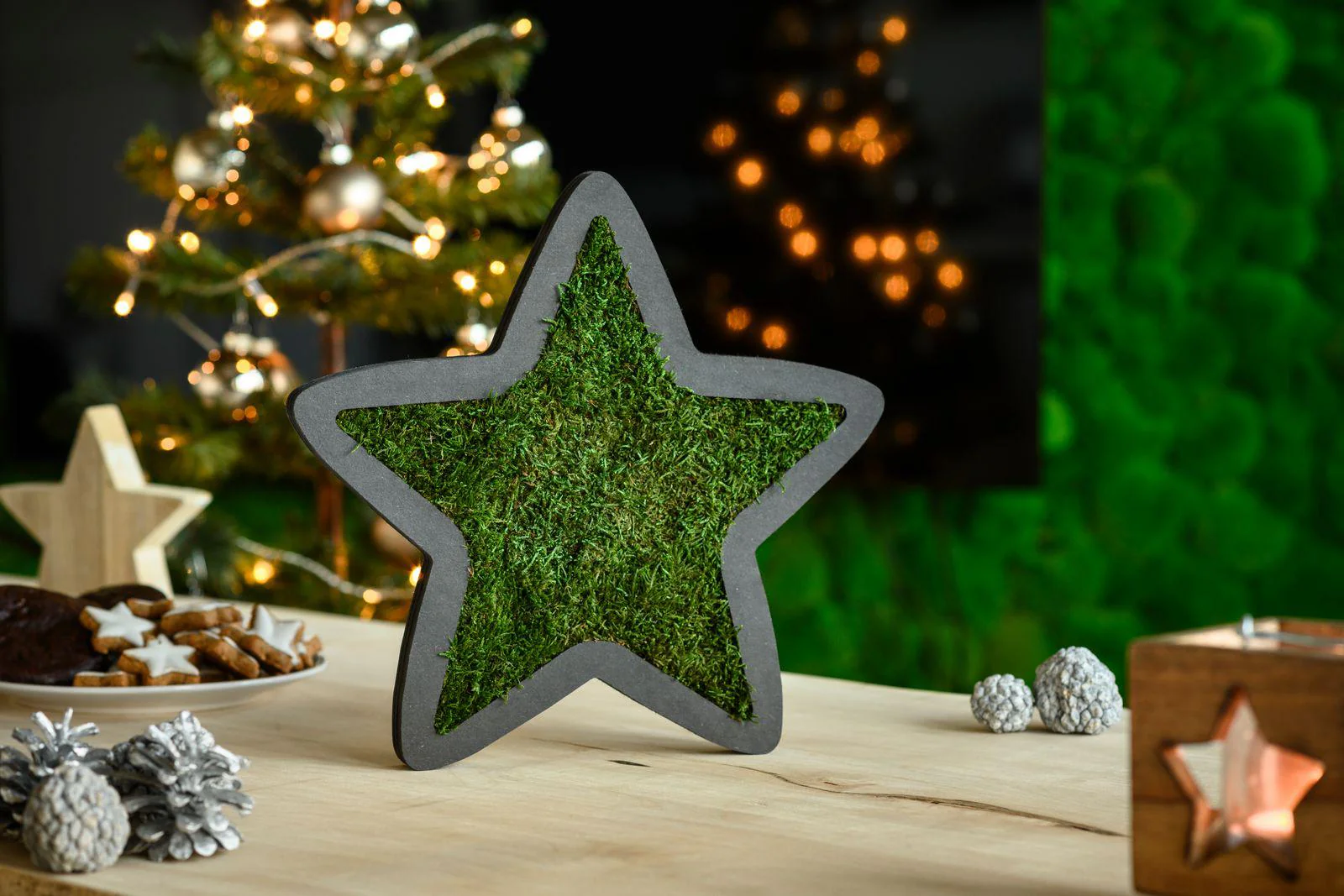 Moss Star - Image 6