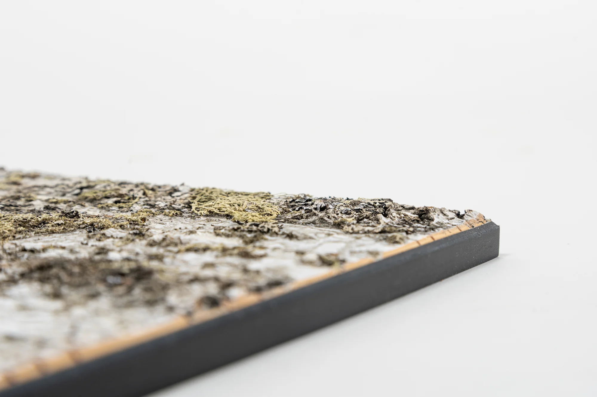 Moya Seina Birch Bark Wall Panels - Image 10