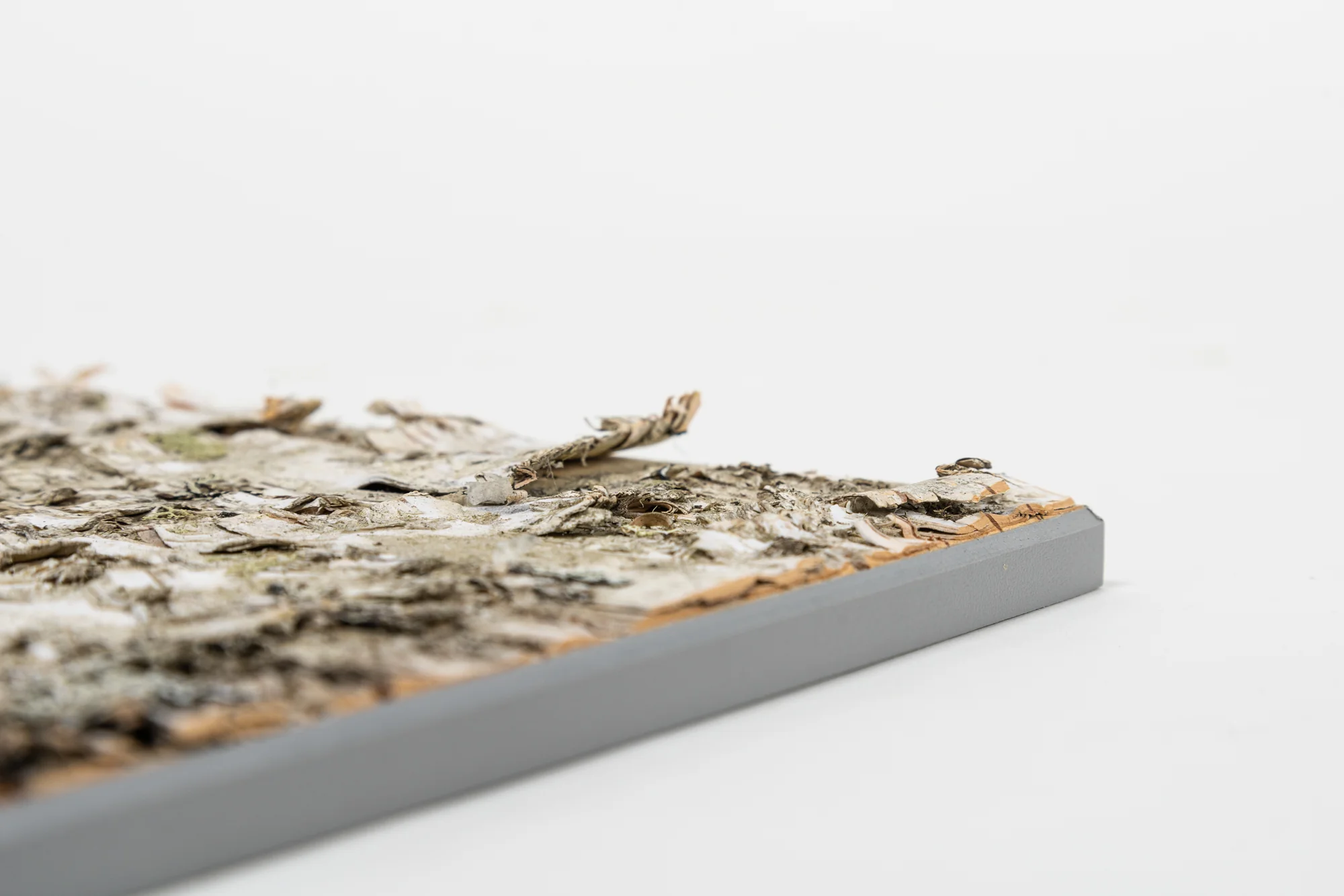 Moya Seina Birch Bark Wall Panels - Image 11