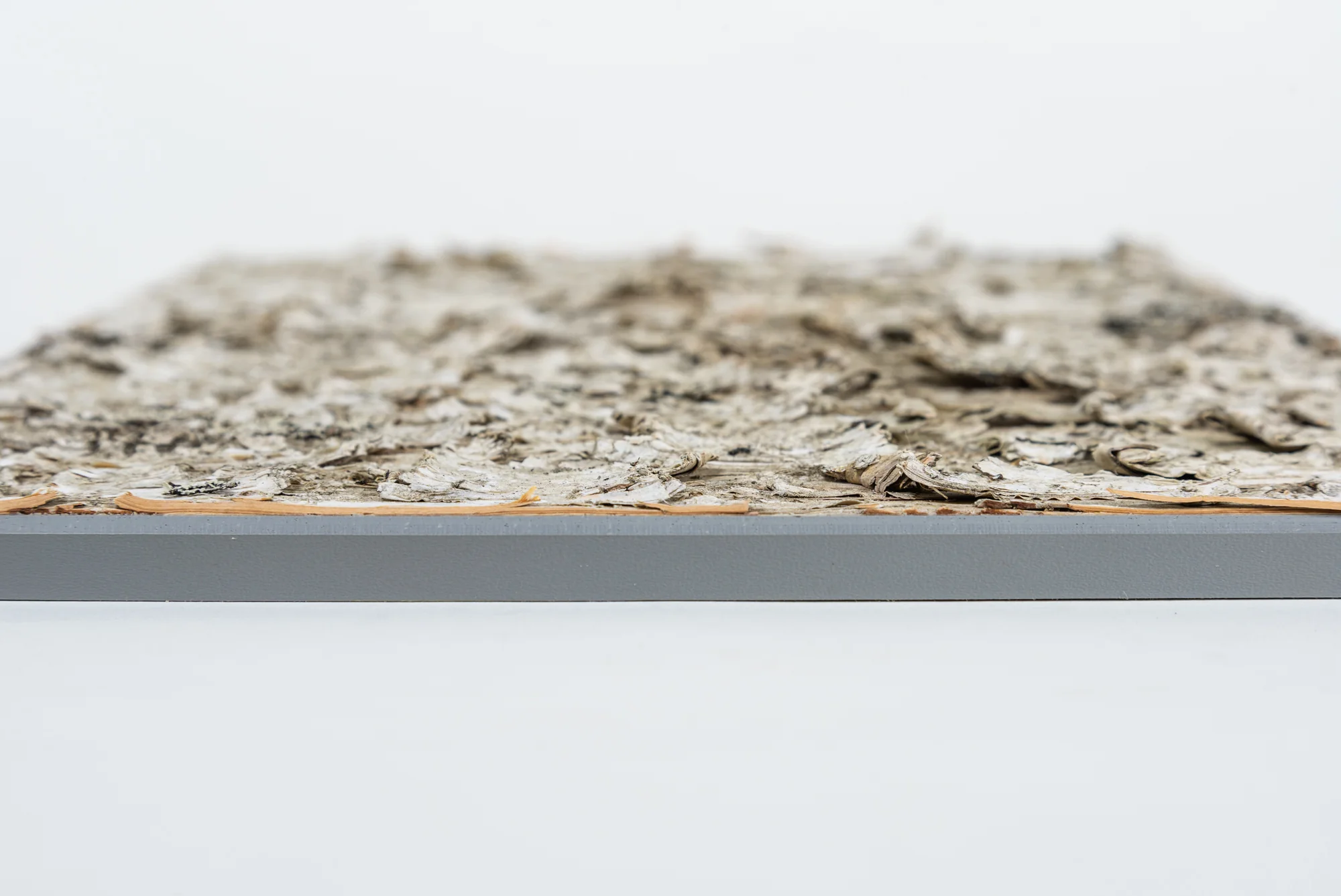 Moya Seina Birch Bark Wall Panels - Image 13