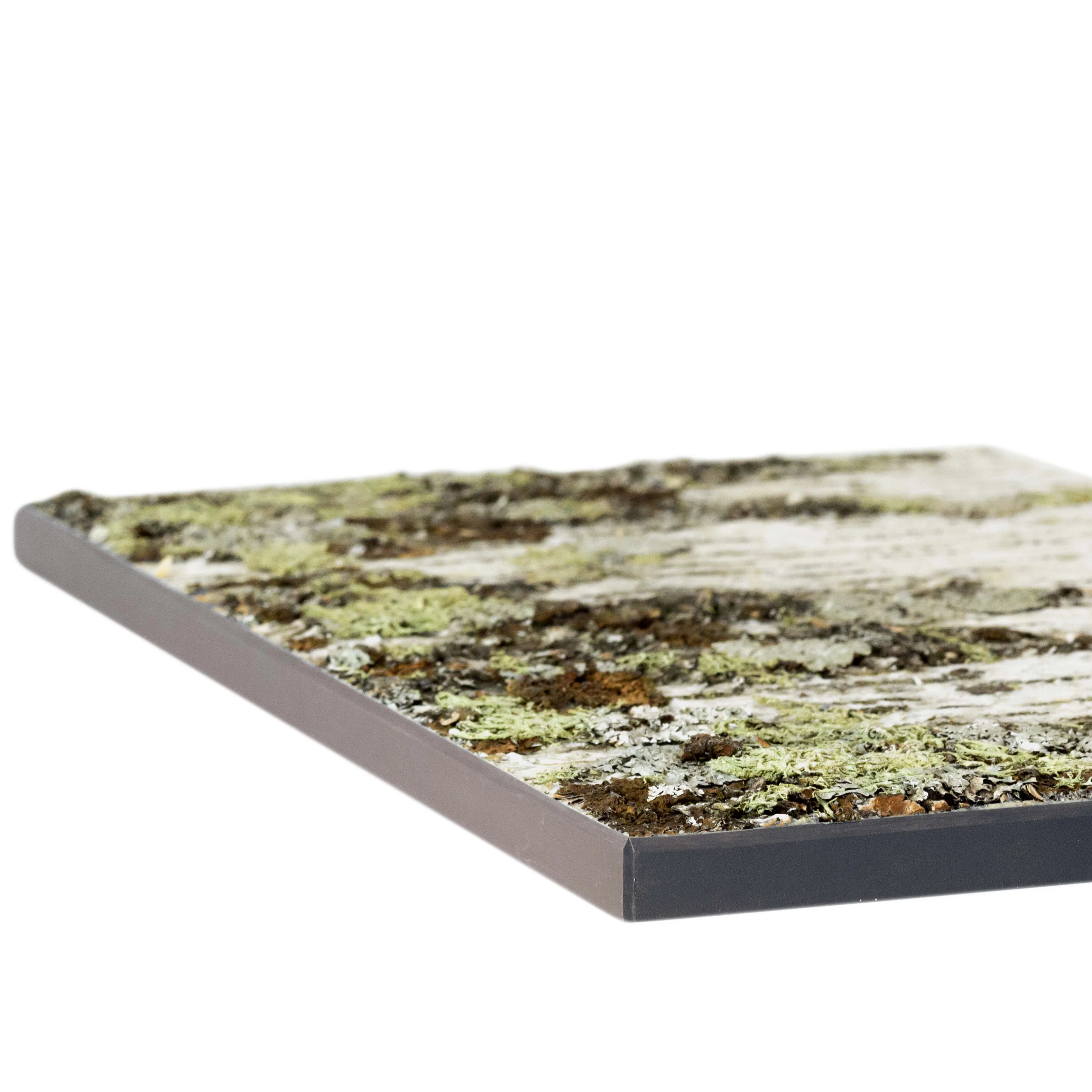 Moya Seina Birch Bark Wall Panels - Image 16