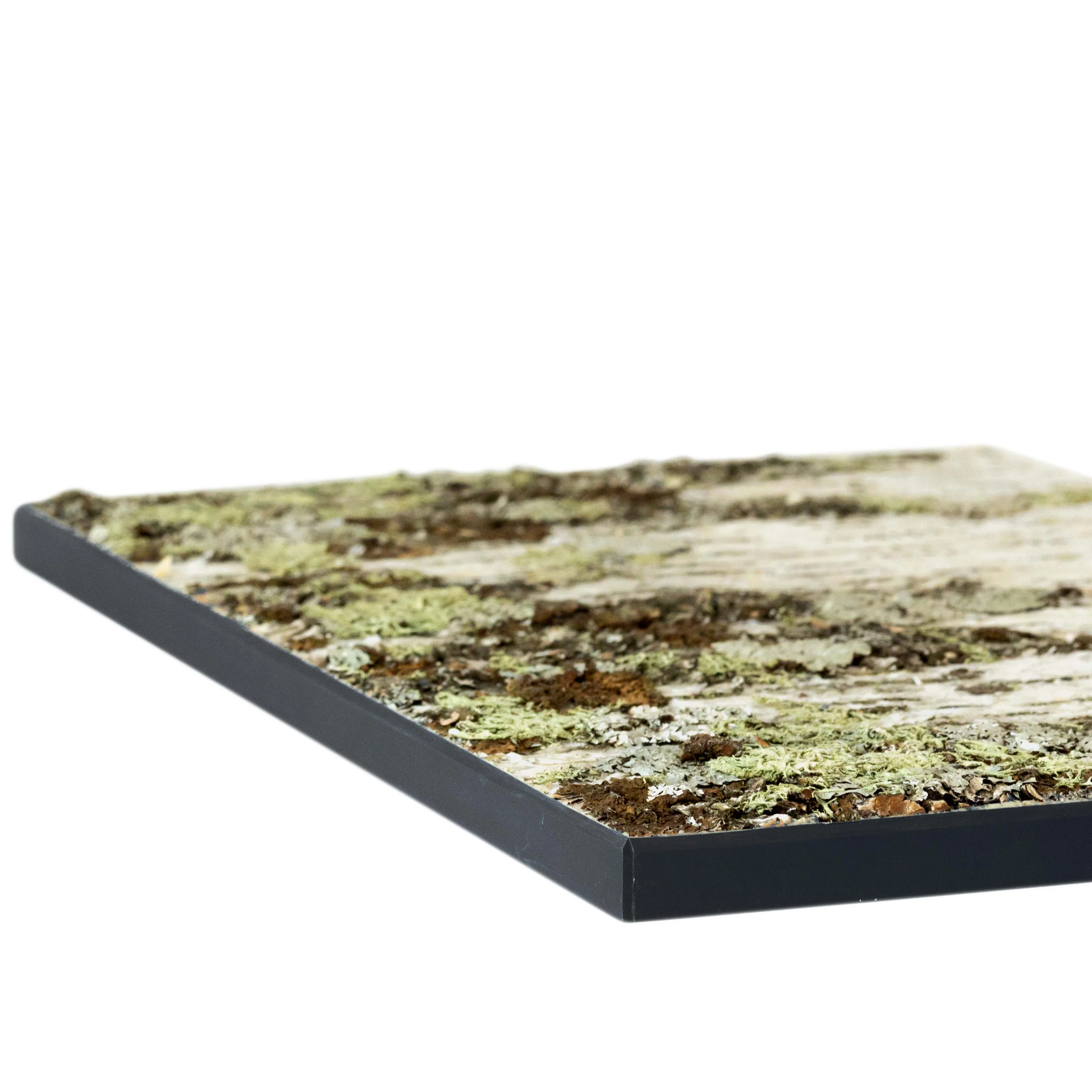 Moya Seina Birch Bark Wall Panels - Image 17