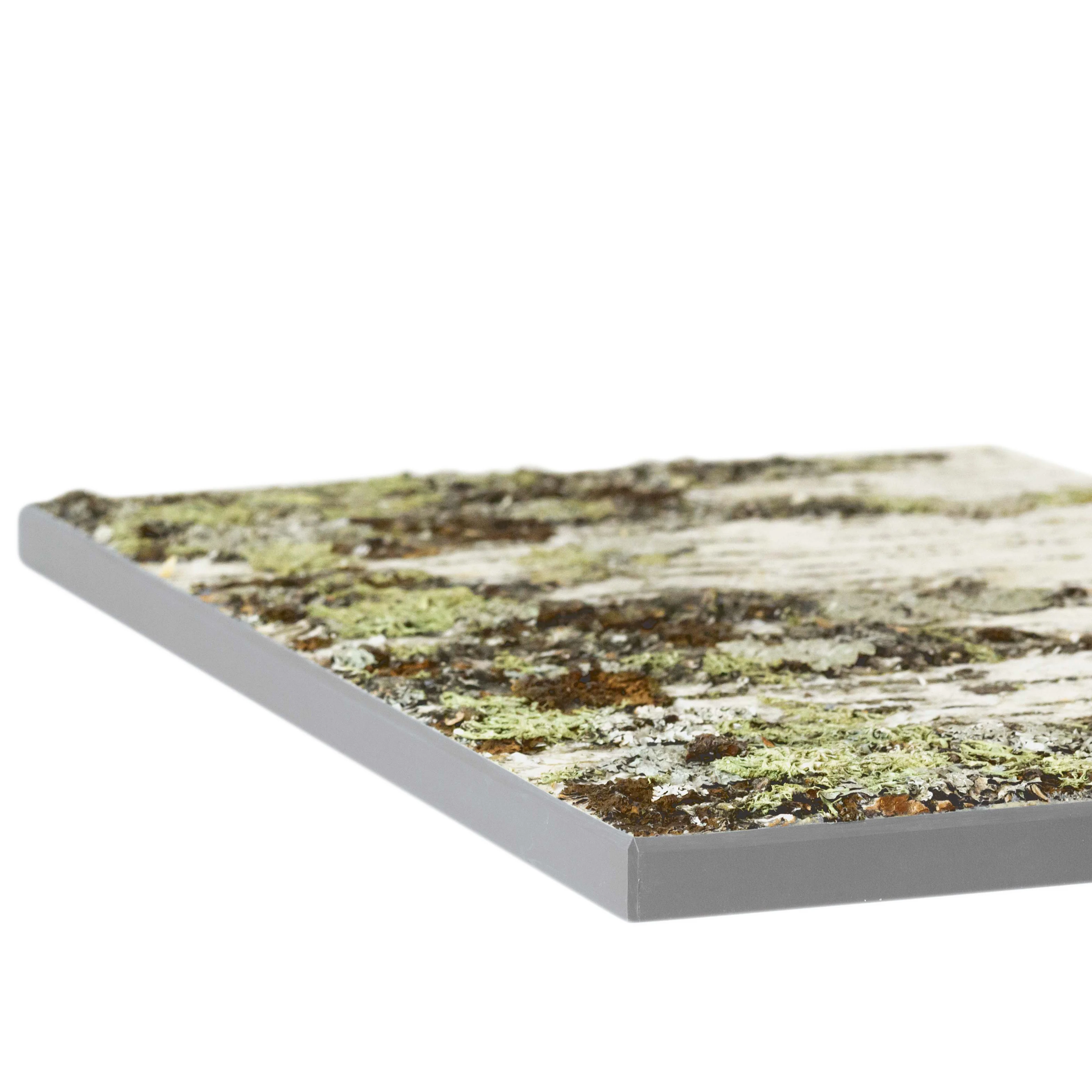 Moya Seina Birch Bark Wall Panels - Image 18