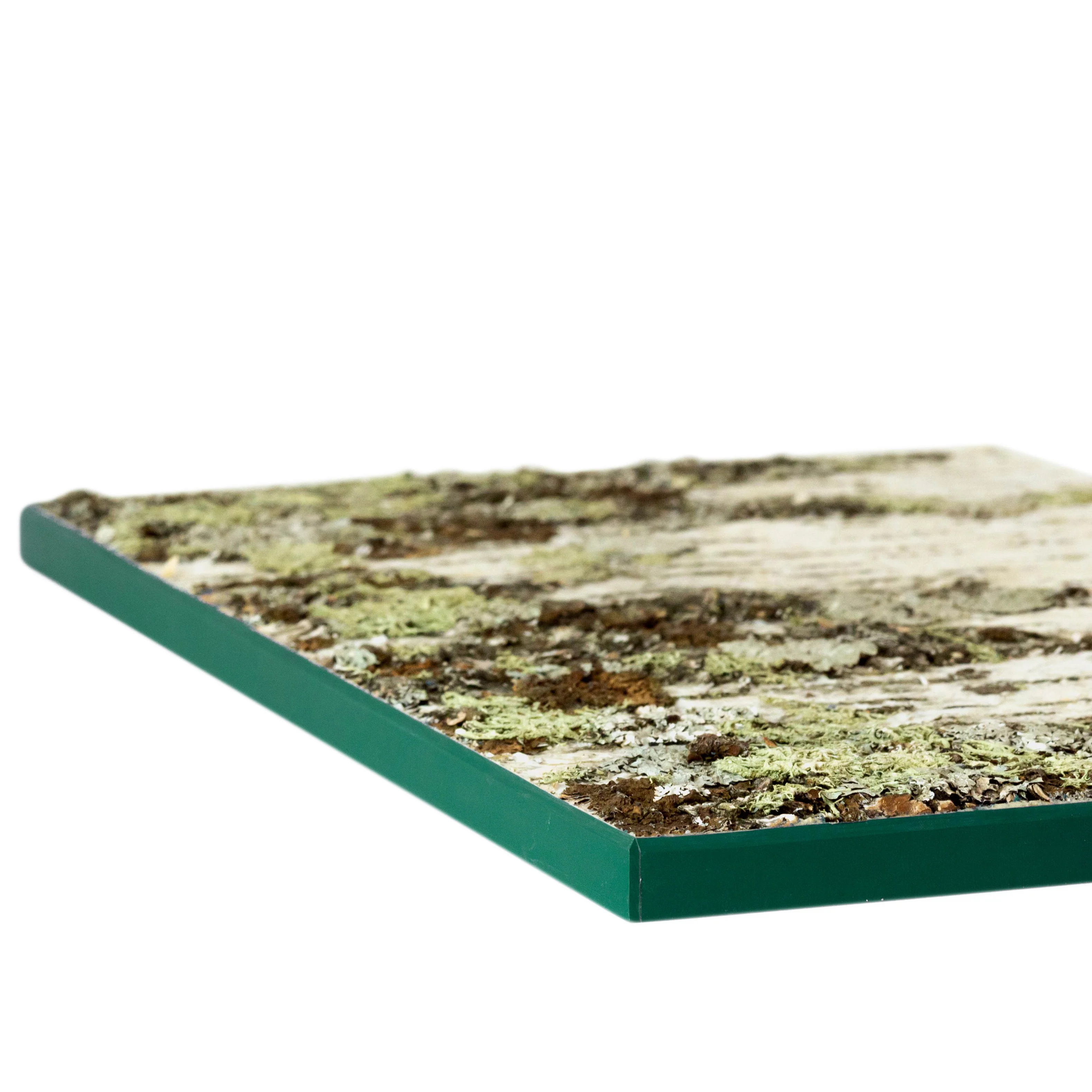 Moya Seina Birch Bark Wall Panels - Image 19