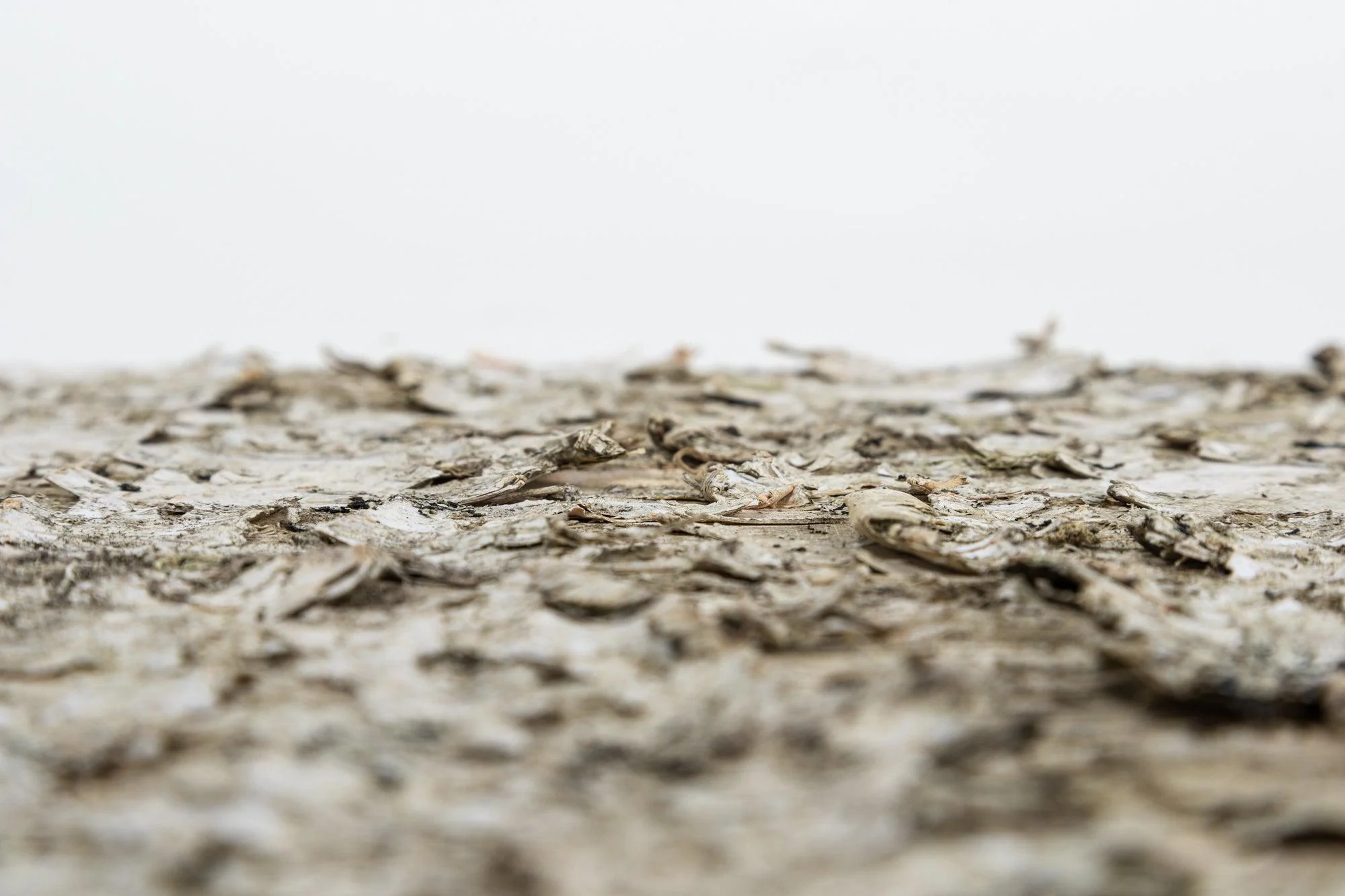 Moya Seina Birch Bark Wall Panel - Image 13