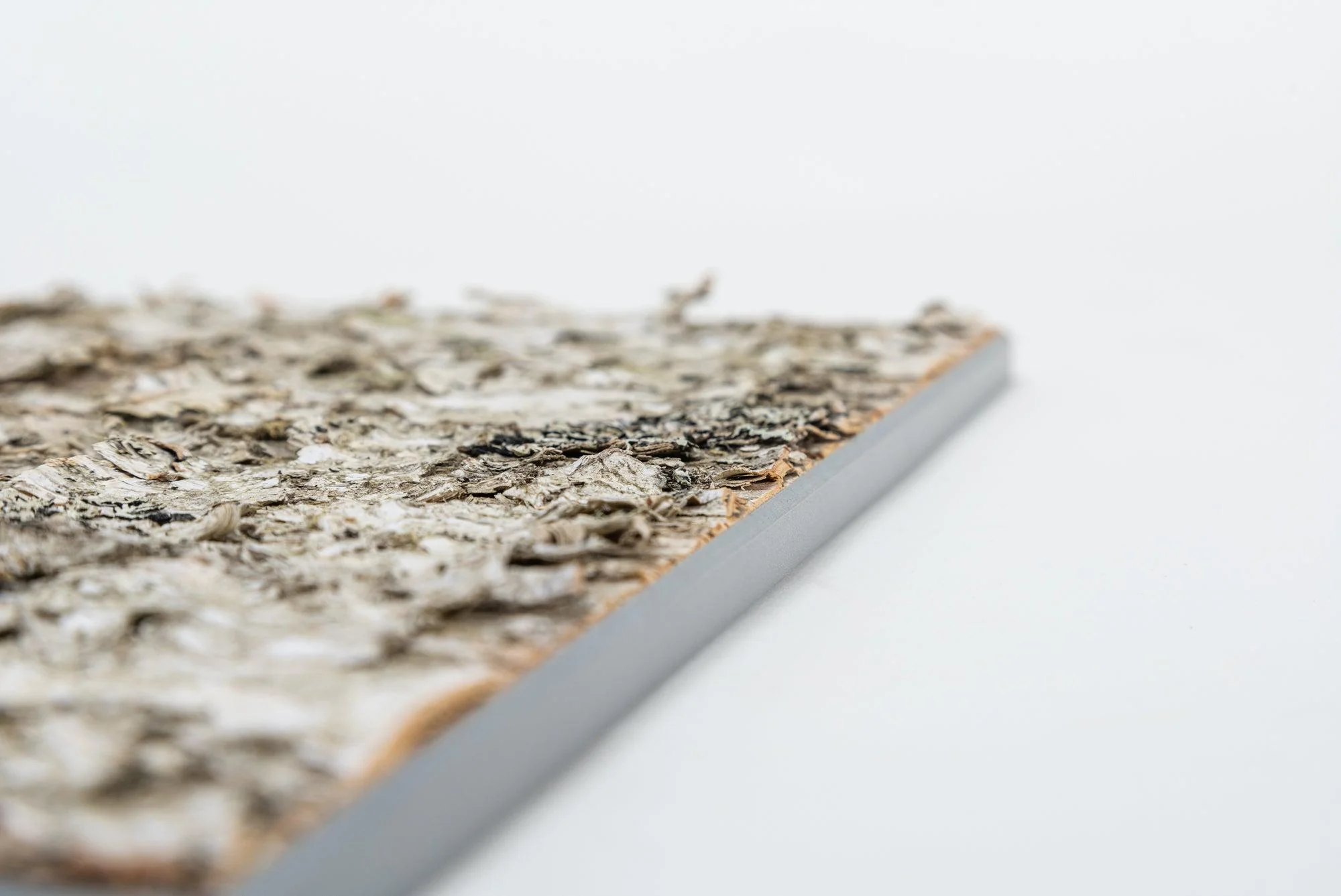 Moya Seina Birch Bark Wall Panel - Image 15