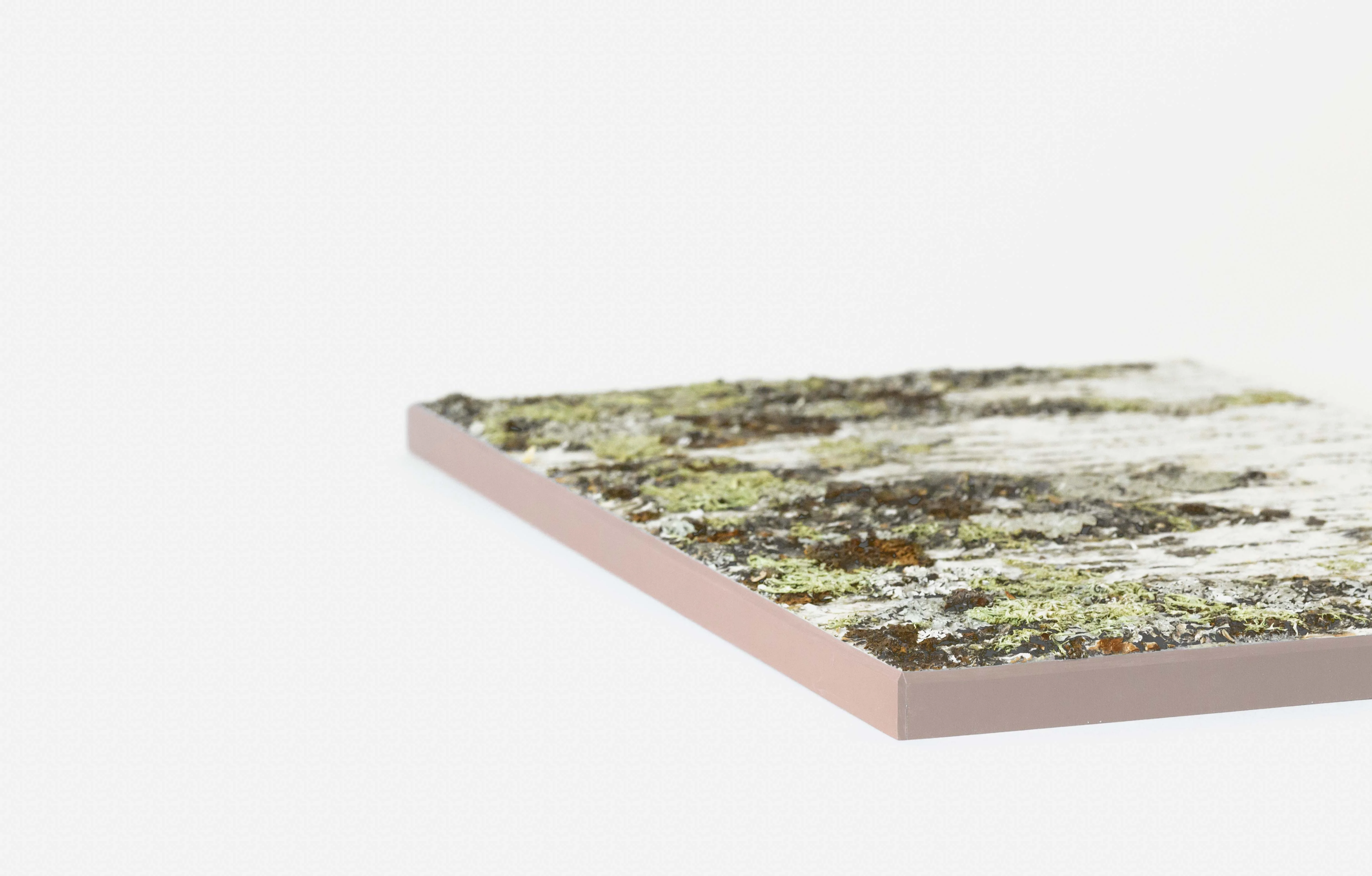 Moya Seina Birch Bark Wall Panel - Image 16