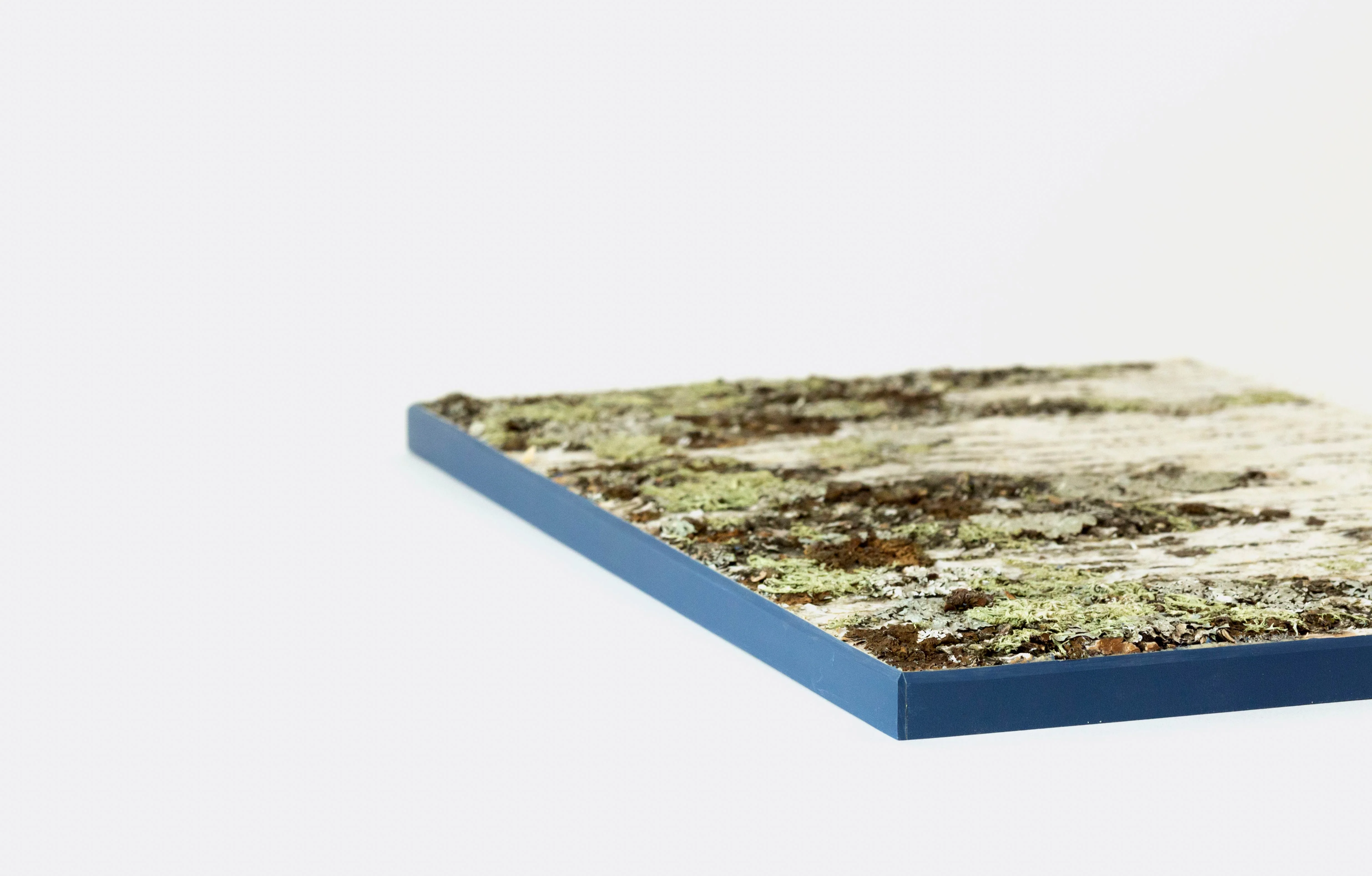 Moya Seina Birch Bark Wall Panel - Image 17