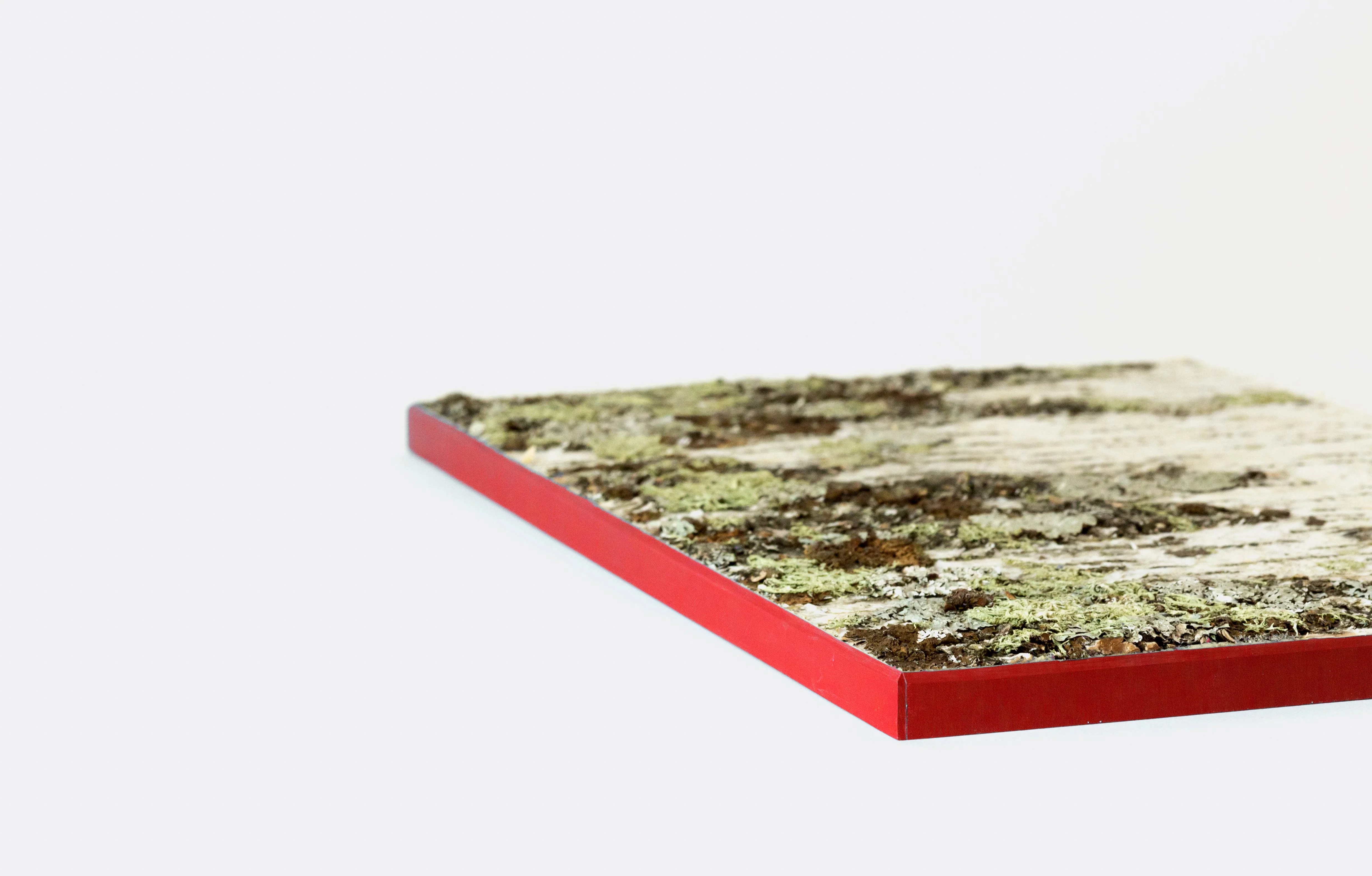 Moya Seina Birch Bark Wall Panel - Image 18