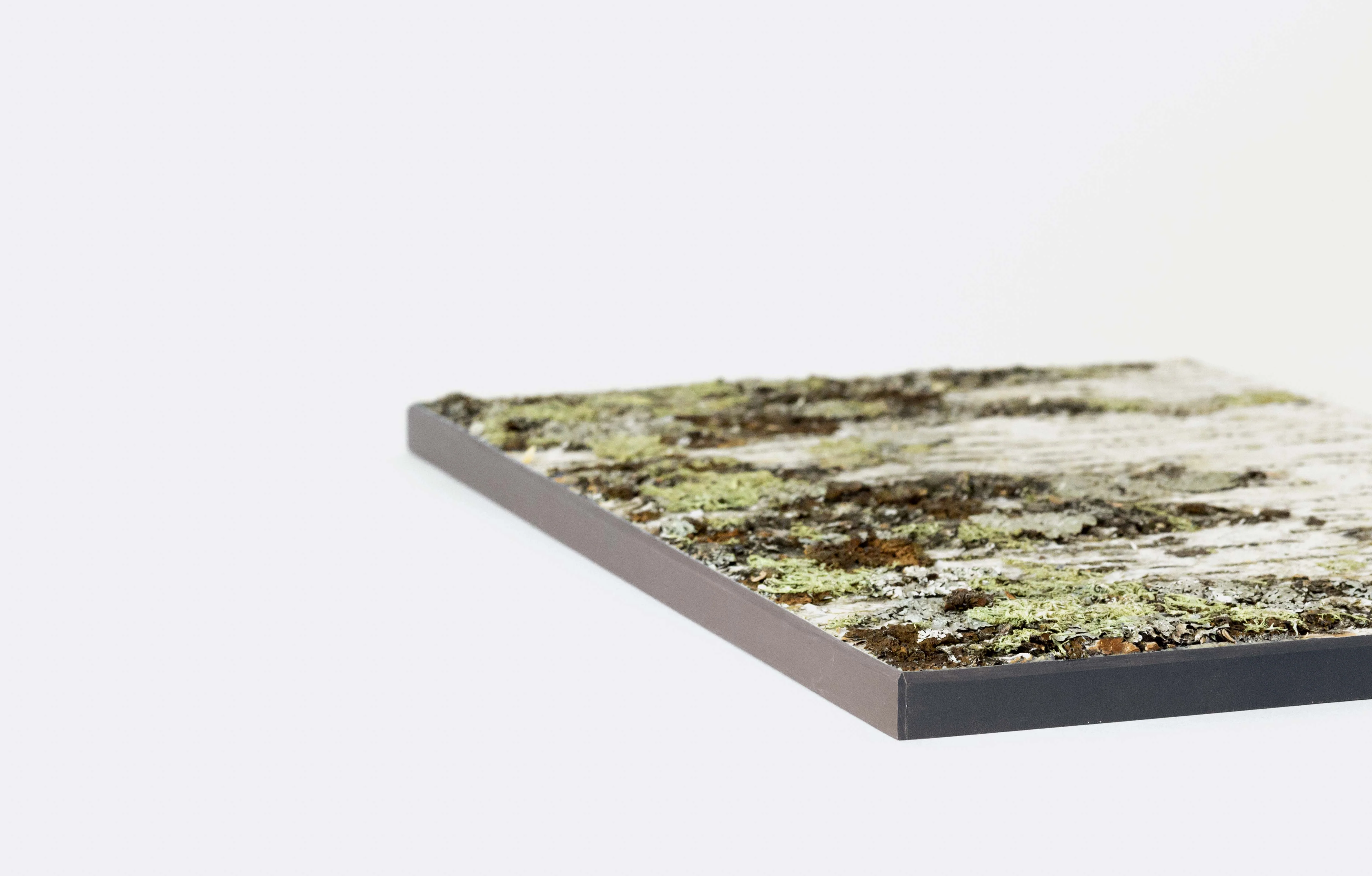 Moya Seina Birch Bark Wall Panel - Image 19