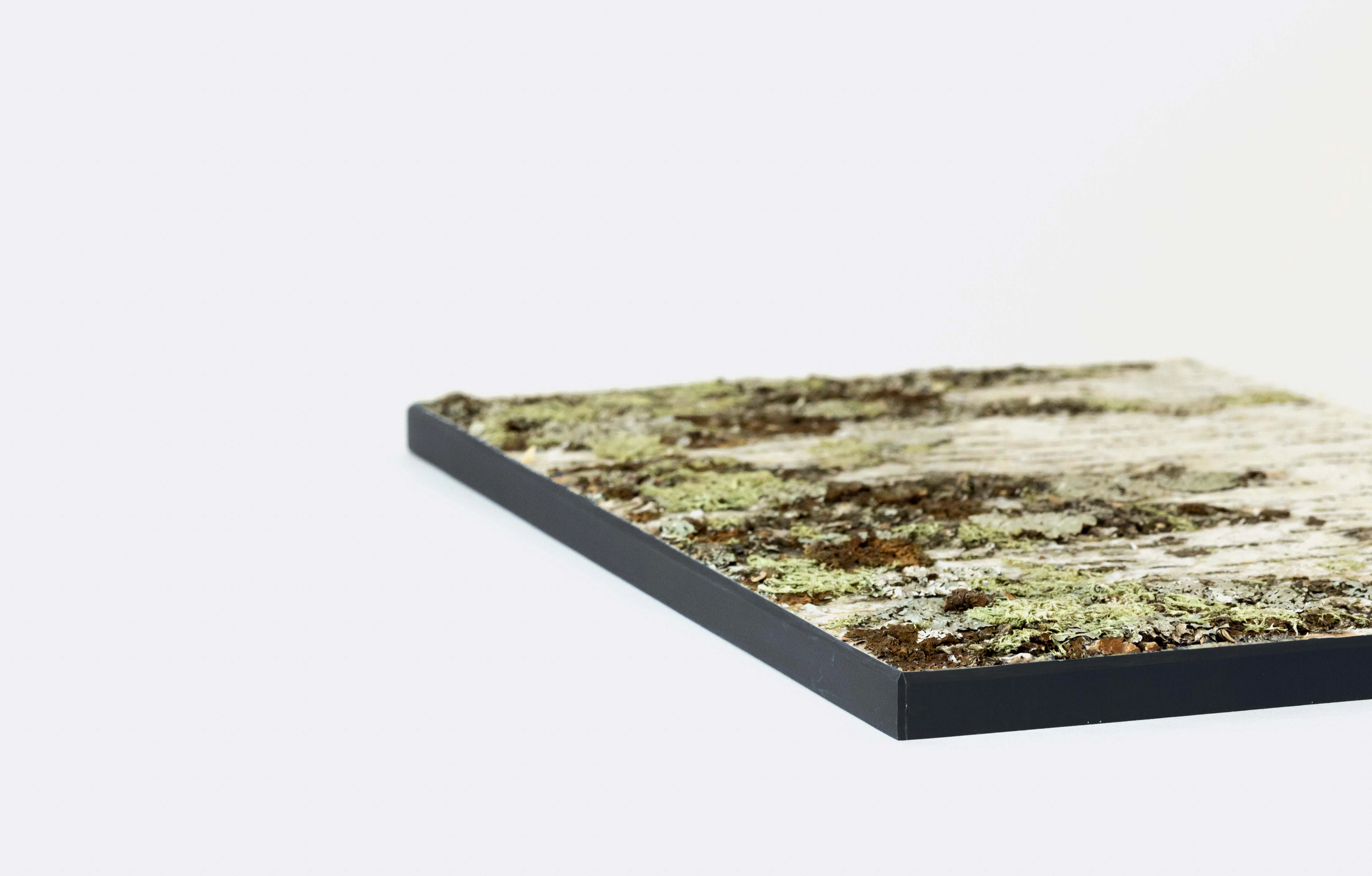 Moya Seina Birch Bark Wall Panel - Image 20