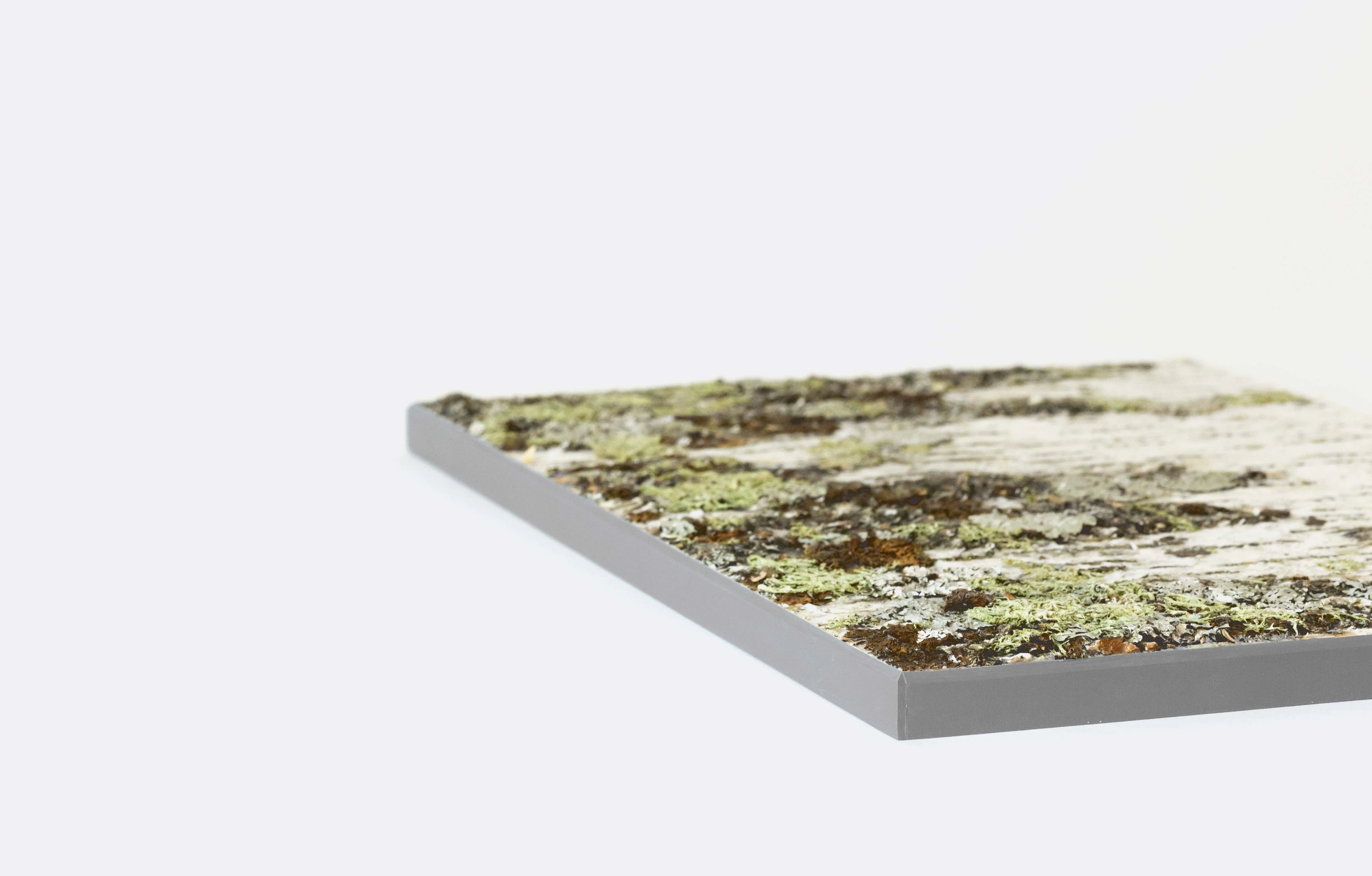 Moya Seina Birch Bark Wall Panel - Image 21