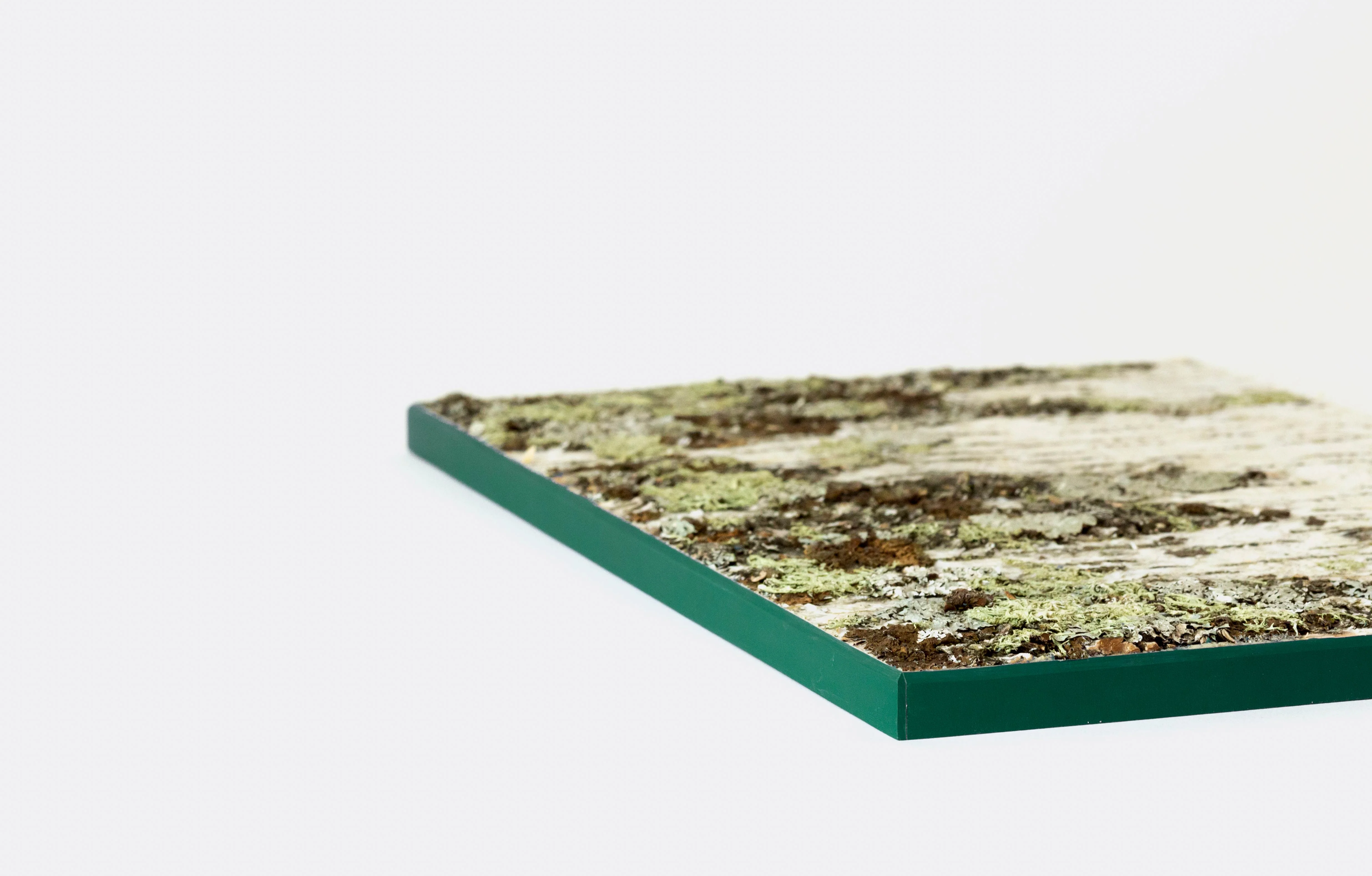 Moya Seina Birch Bark Wall Panel - Image 22