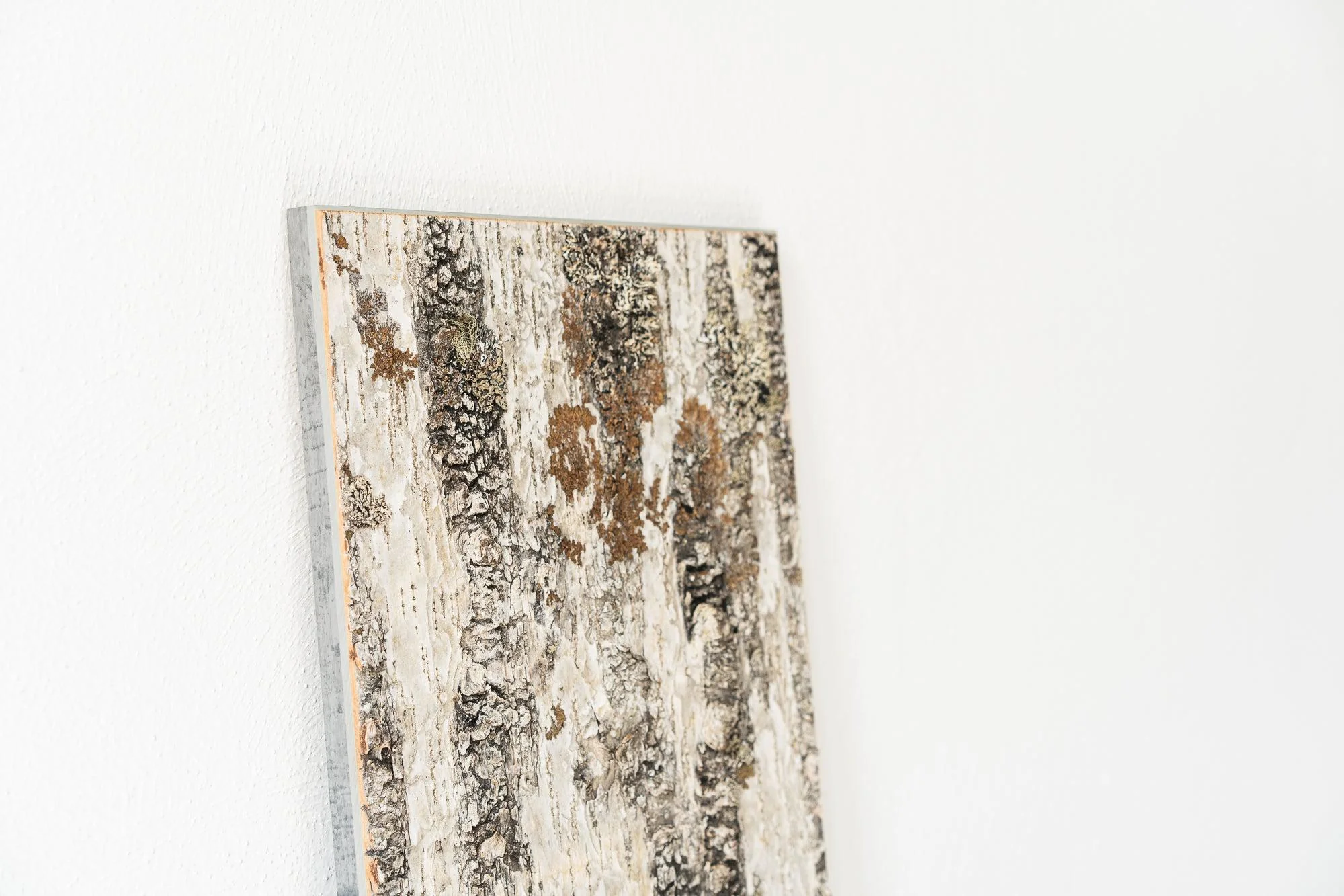 Moya Seina Birch Bark Wall Panel - Image 7