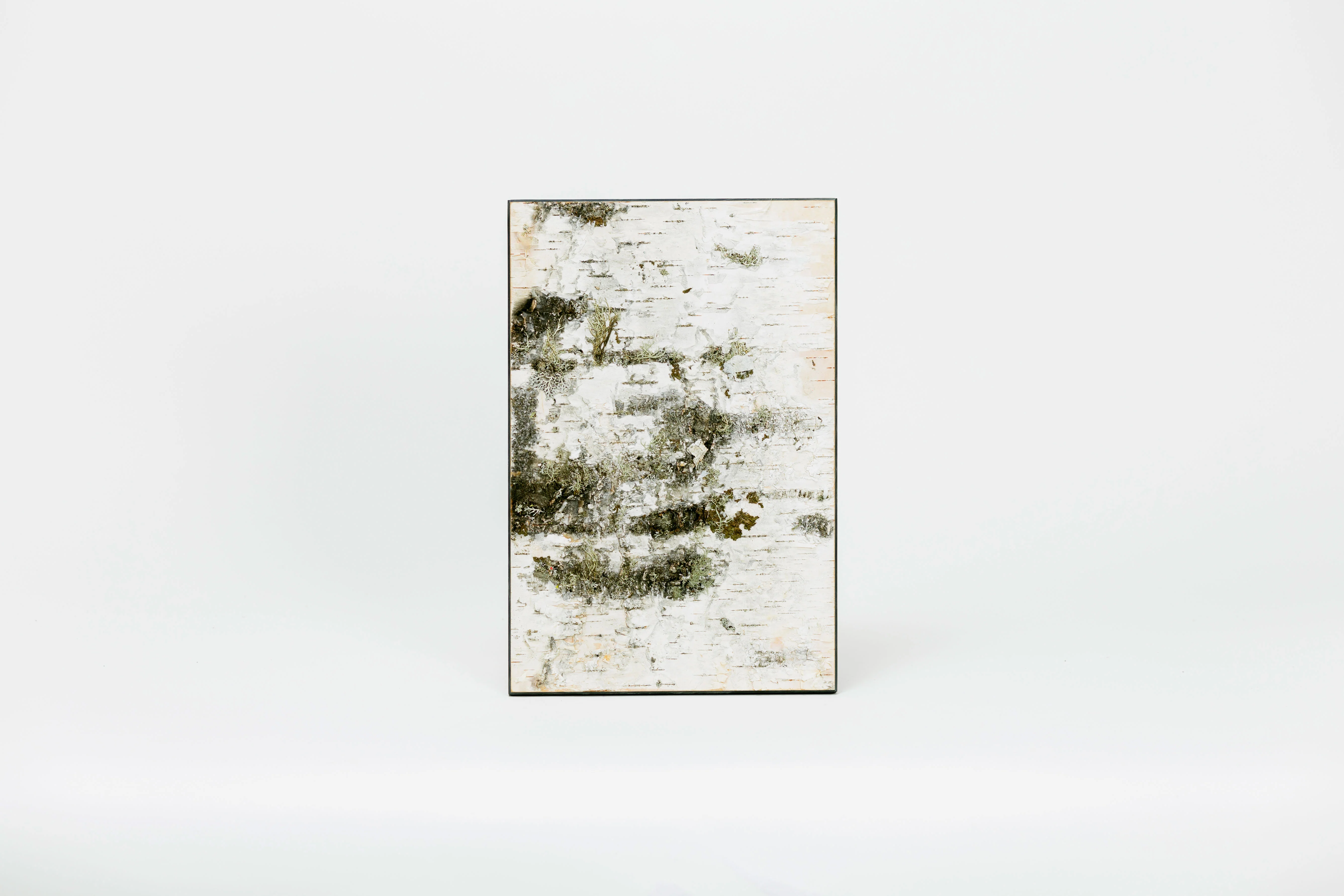Moya Seina Birch Bark Wall Panel - Image 8