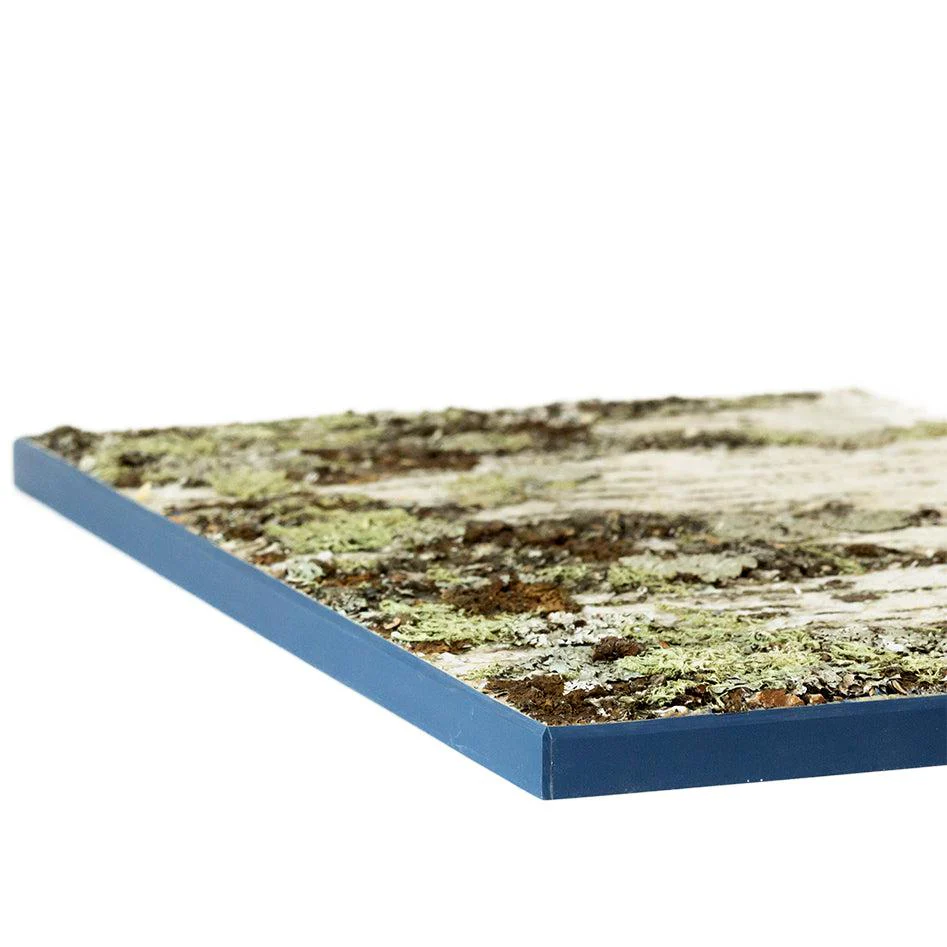 Moya Seina Birch Bark Wall Panels - Image 20
