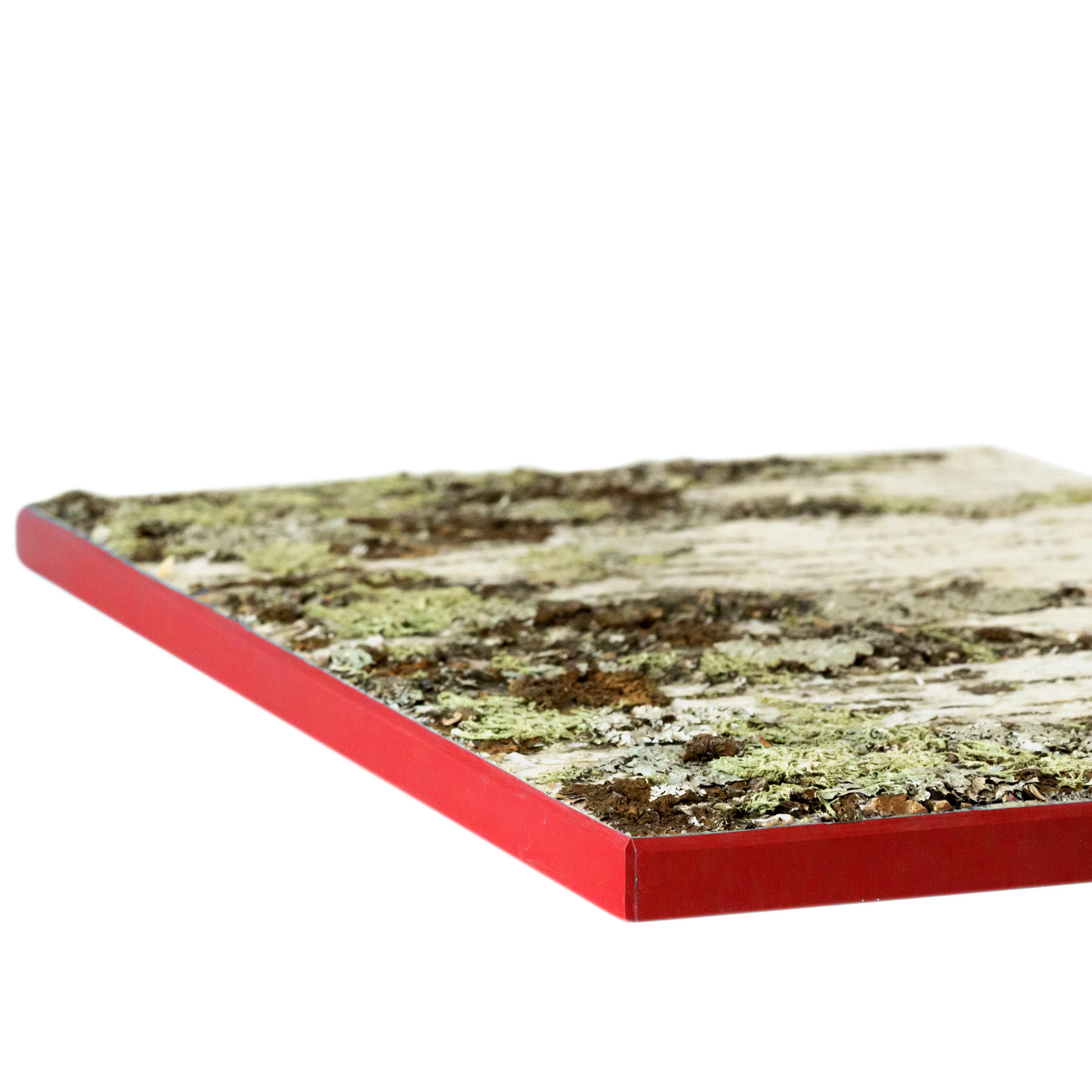 Moya Seina Birch Bark Wall Panels - Image 21