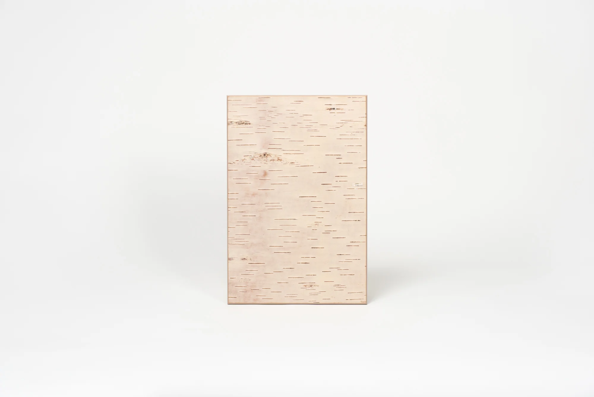 Moya Seina Birch Bark Wall Panel - Image 10