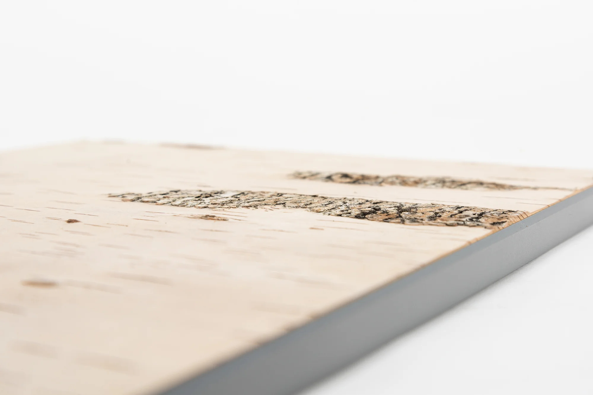 Moya Seina Birch Bark Wall Panel - Image 17