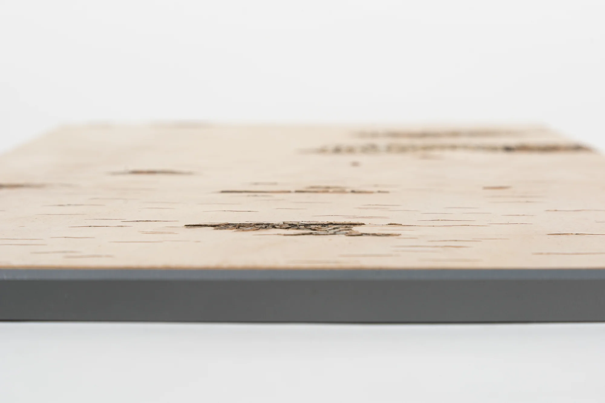Moya Seina Birch Bark Wall Panel - Image 18