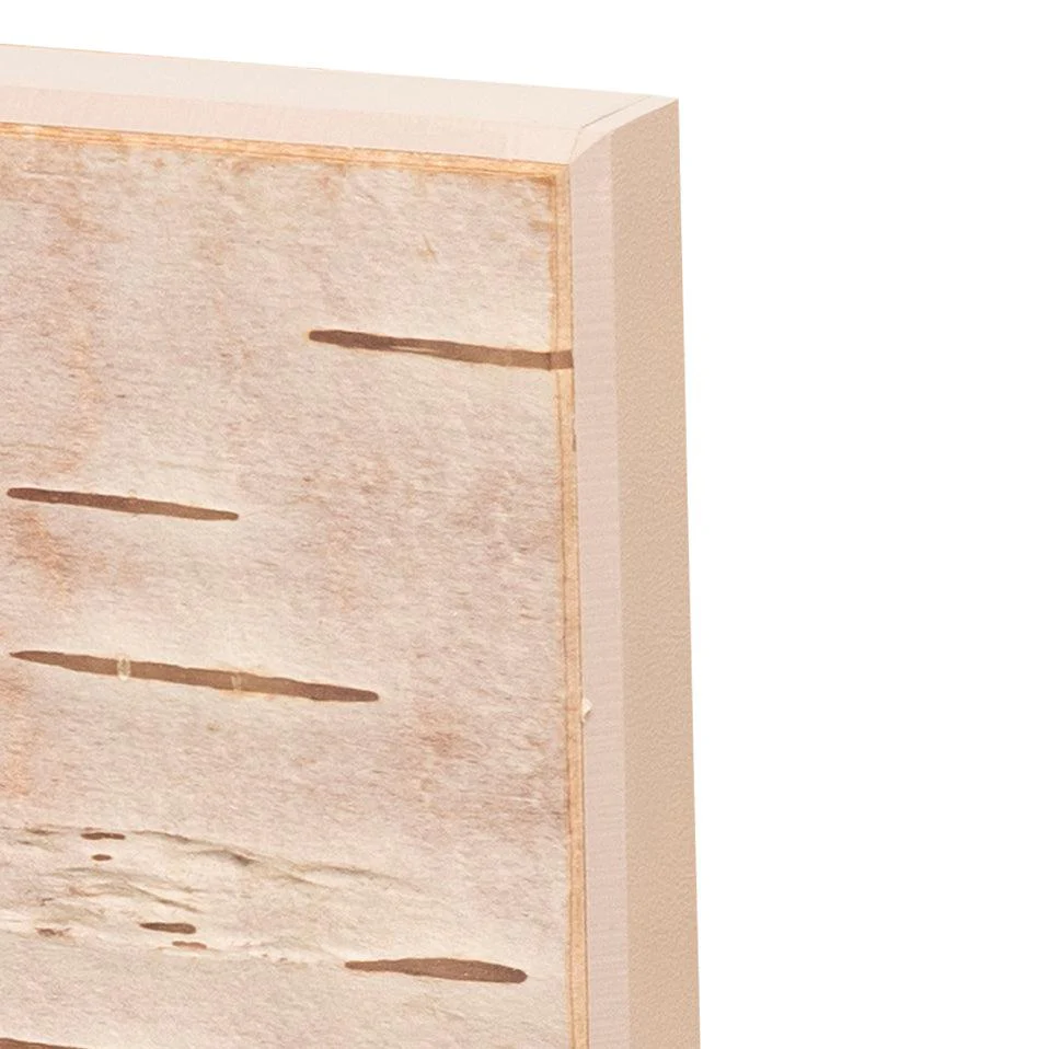 Moya Seina Birch Bark Wall Panel - Image 19