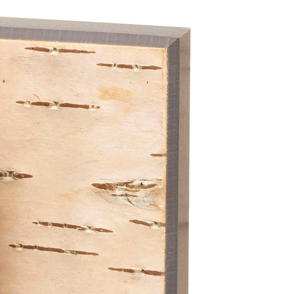 Moya Seina Birch Bark Wall Panel - Image 20