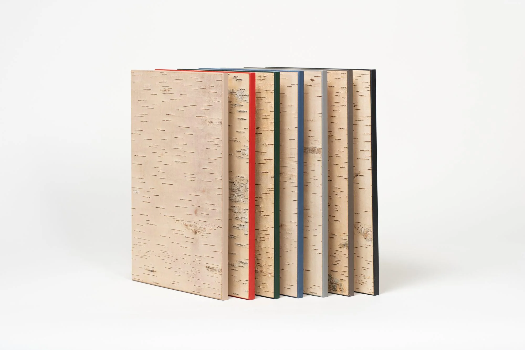 Moya Seina Birch Bark Wall Panel - Image 21