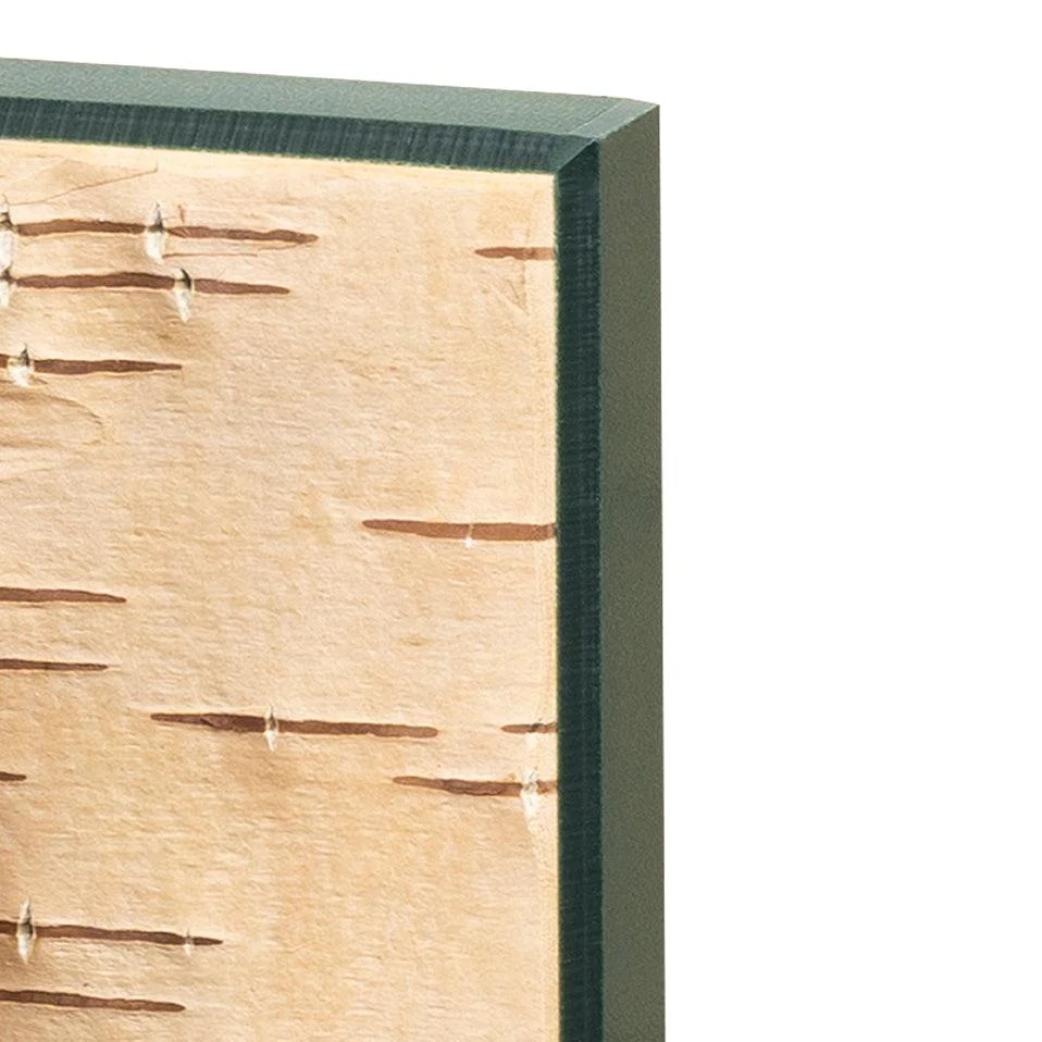 Moya Seina Birch Bark Wall Panel - Image 24
