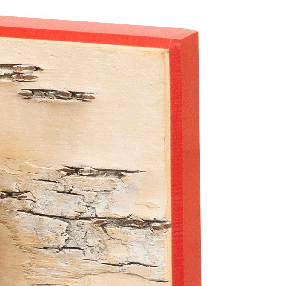 Moya Seina Birch Bark Wall Panel - Image 26