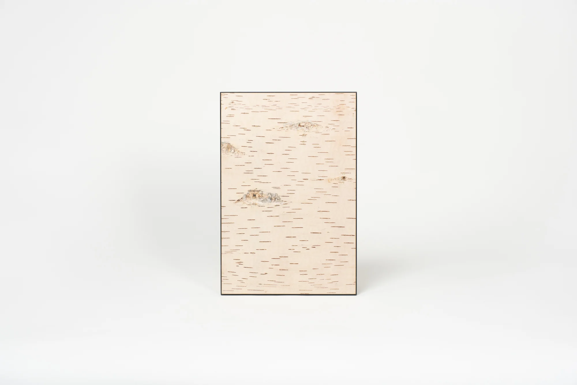 Moya Seina Birch Bark Wall Panel - Image 4