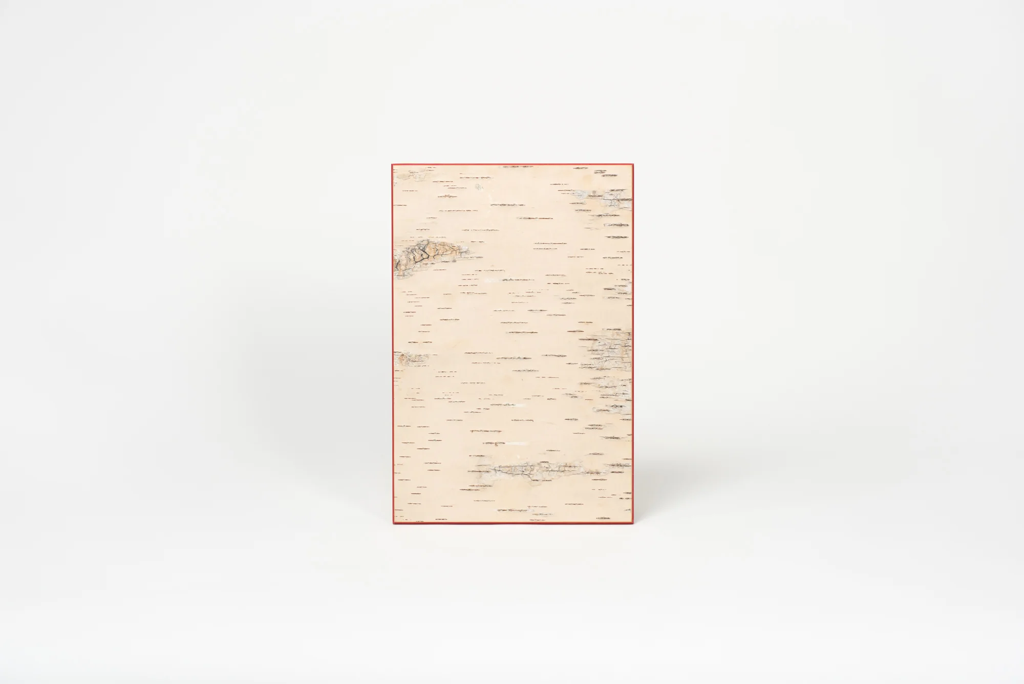 Moya Seina Birch Bark Wall Panel - Image 5