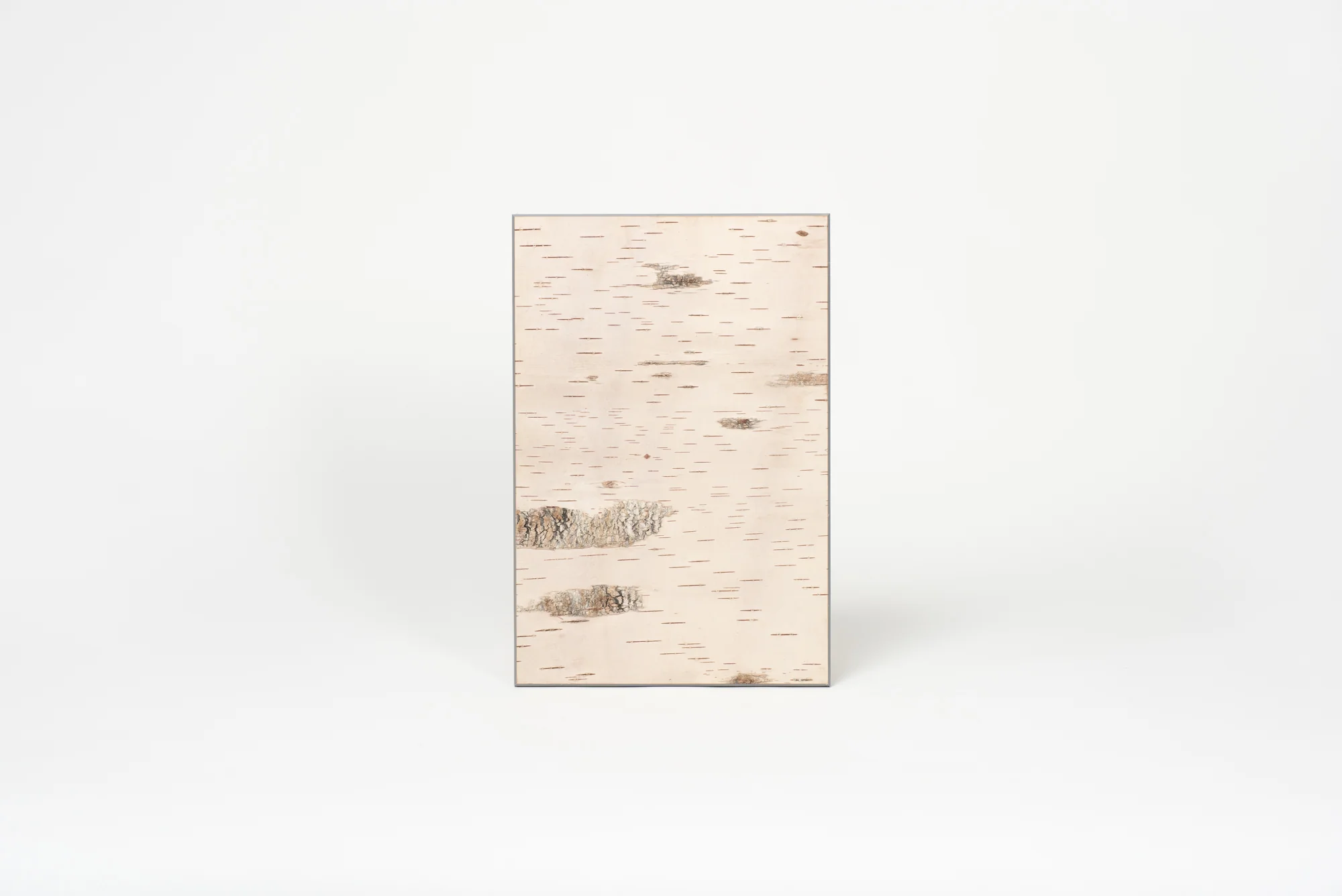 Moya Seina Birch Bark Wall Panel - Image 6