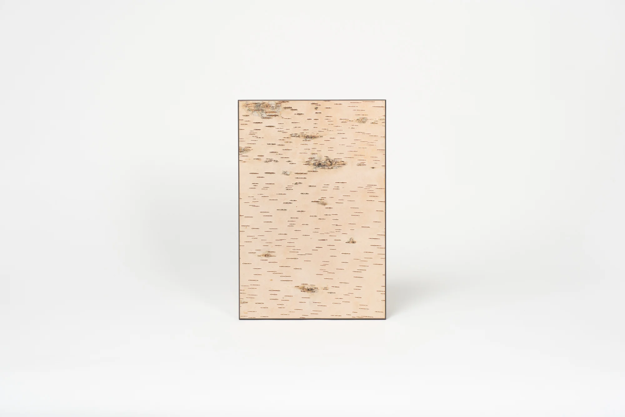 Moya Seina Birch Bark Wall Panel - Image 7