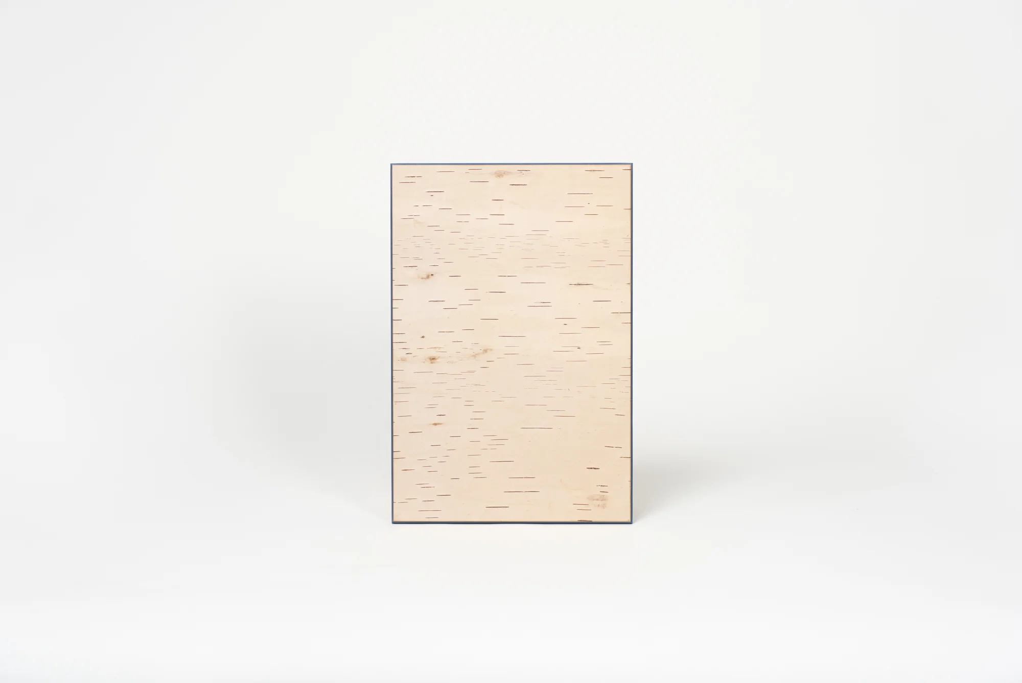 Moya Seina Birch Bark Wall Panel - Image 8