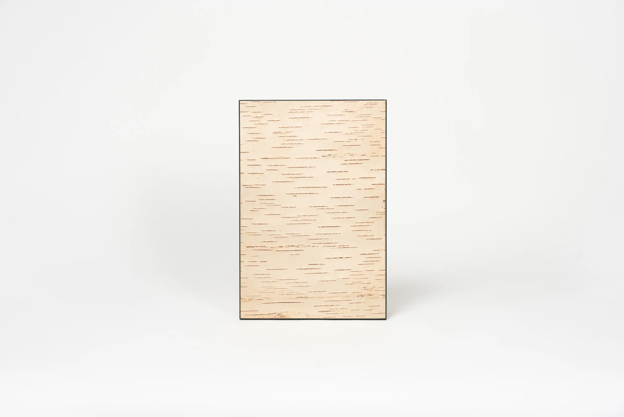 Moya Seina Birch Bark Wall Panel - Image 9
