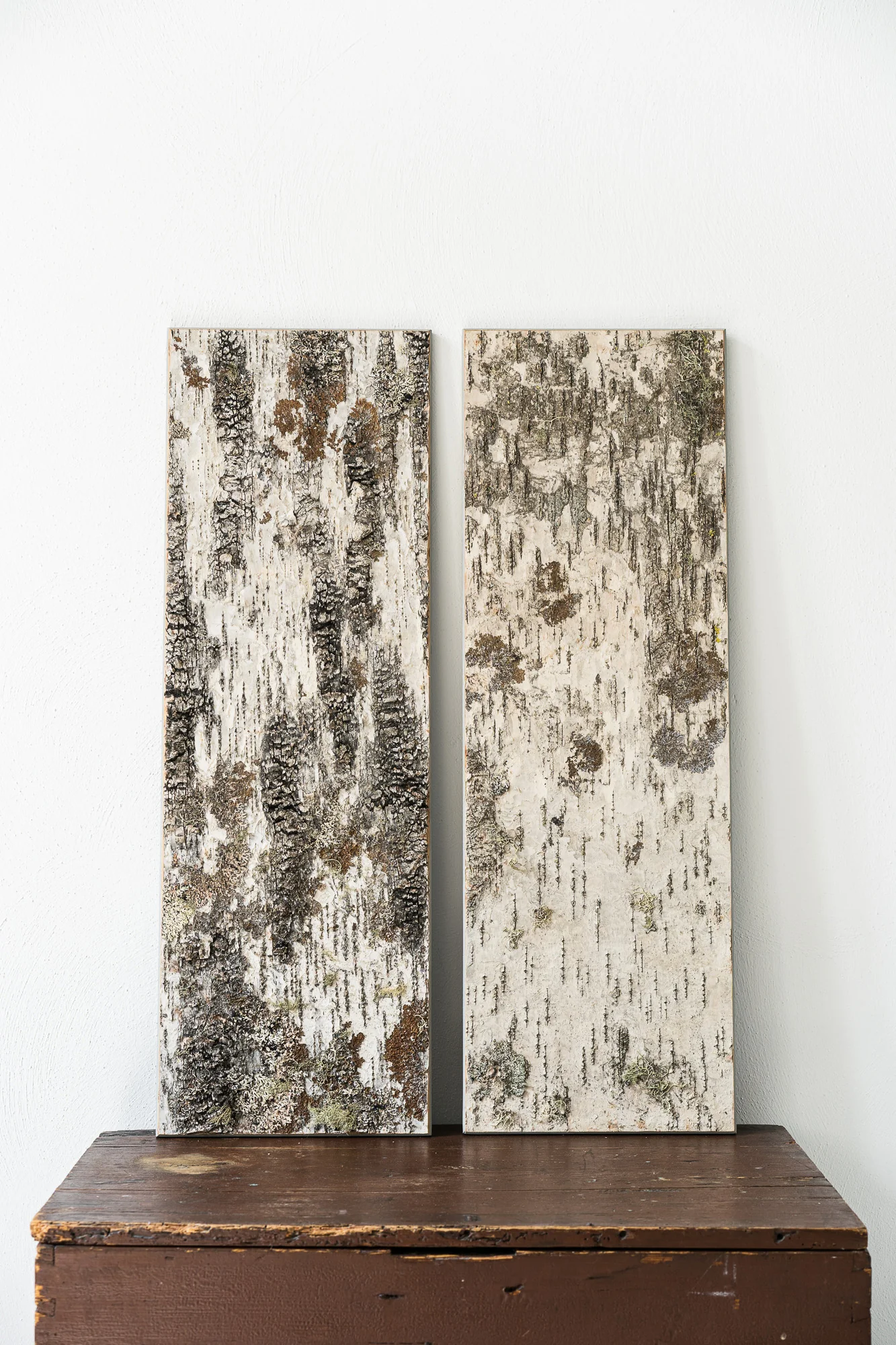 Moya Seina Birch Bark Wall Panels - Image 4