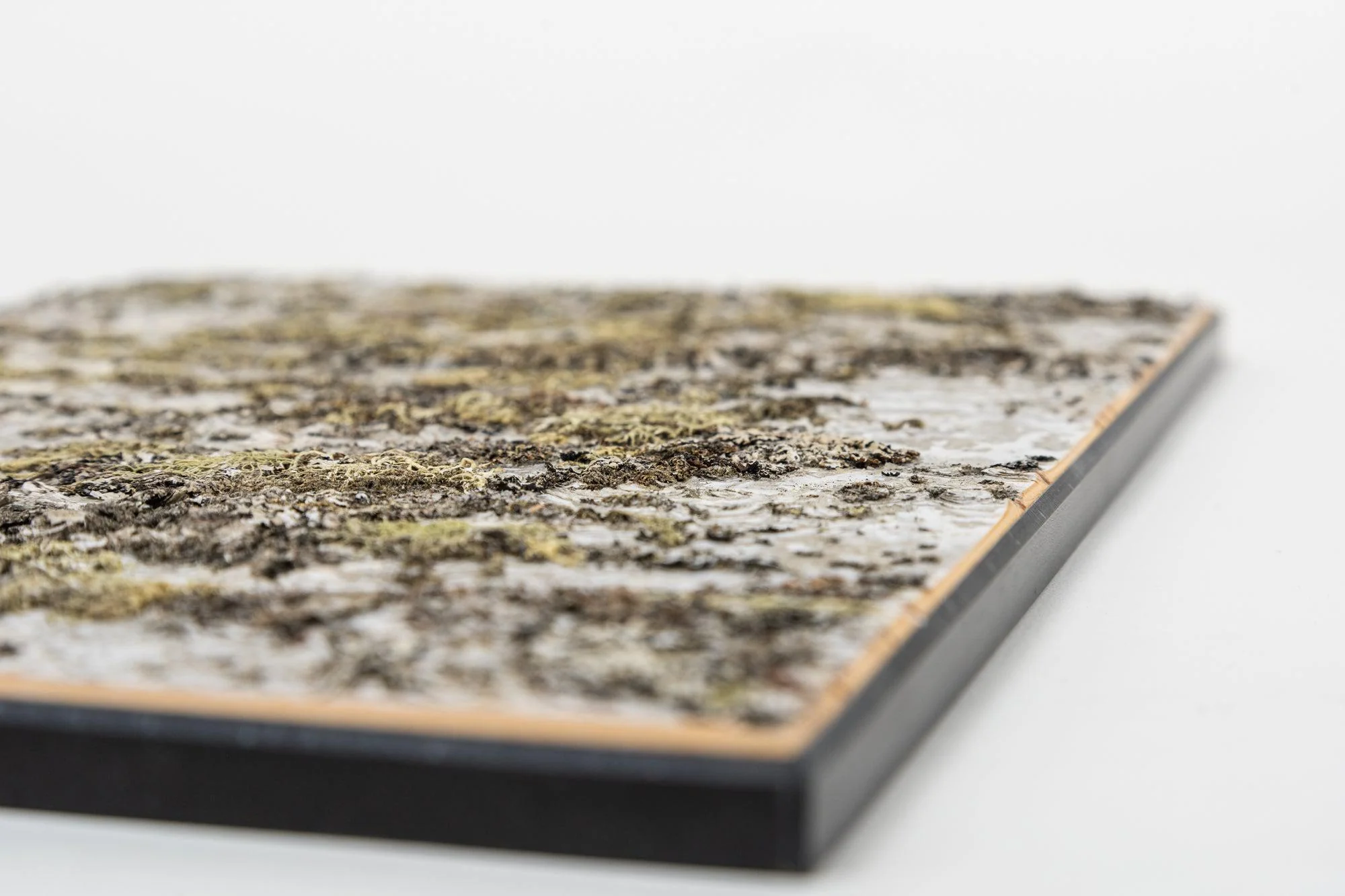 Moya Seina Birch Bark Wall Panels - Image 9